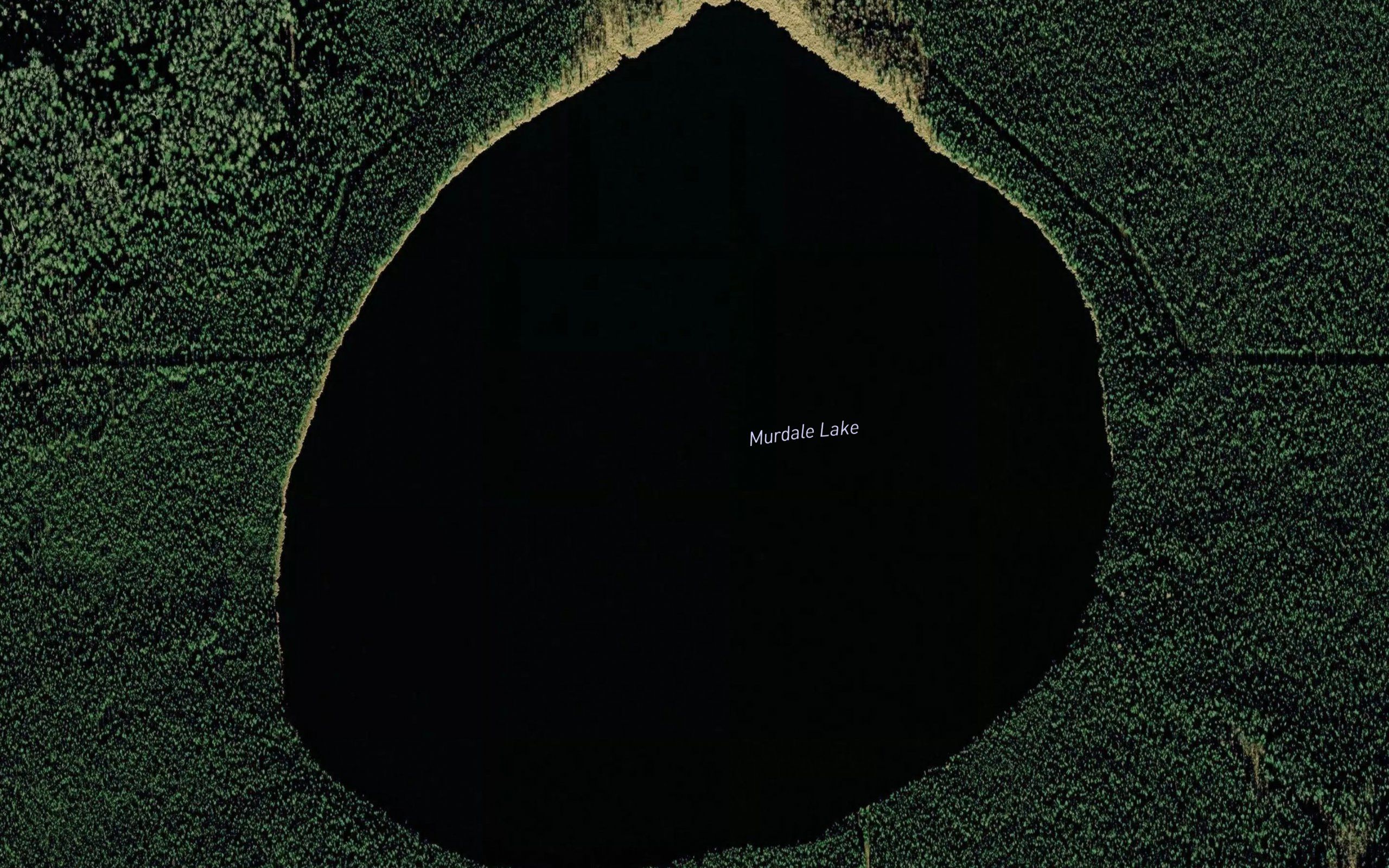 Murdale Lake
