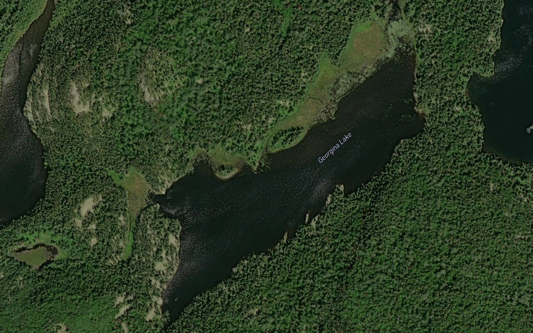 Satellite map of the Georgina Lake
