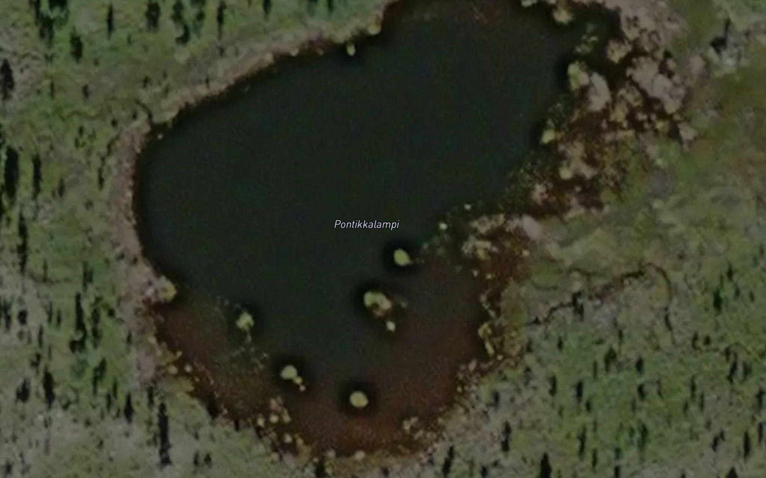 Pontikkalampi