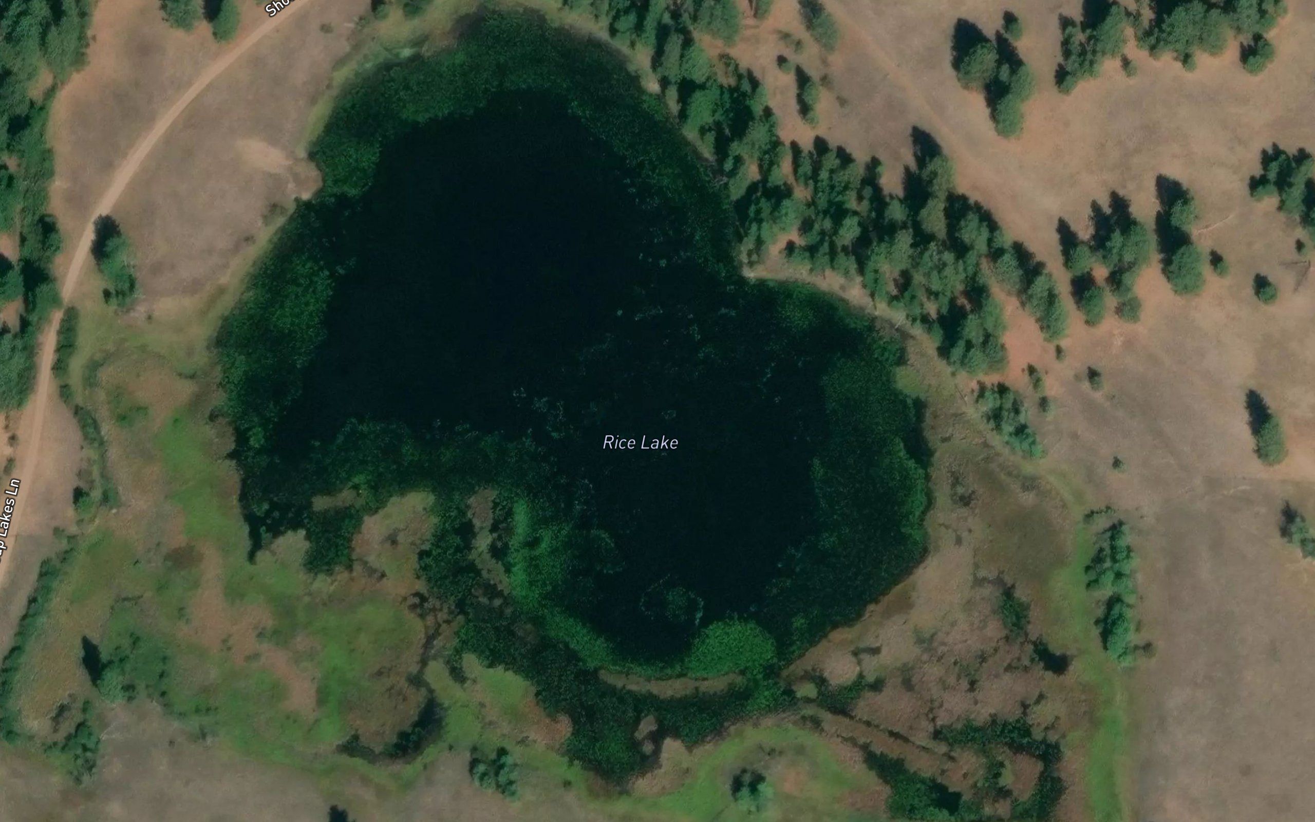 Rice Lake