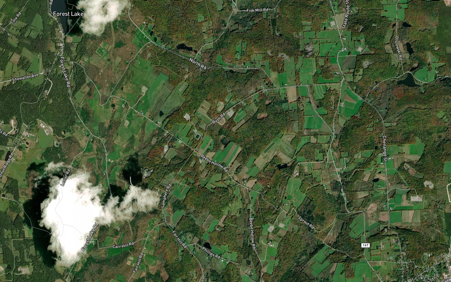 Satellite map of the Bush Pond