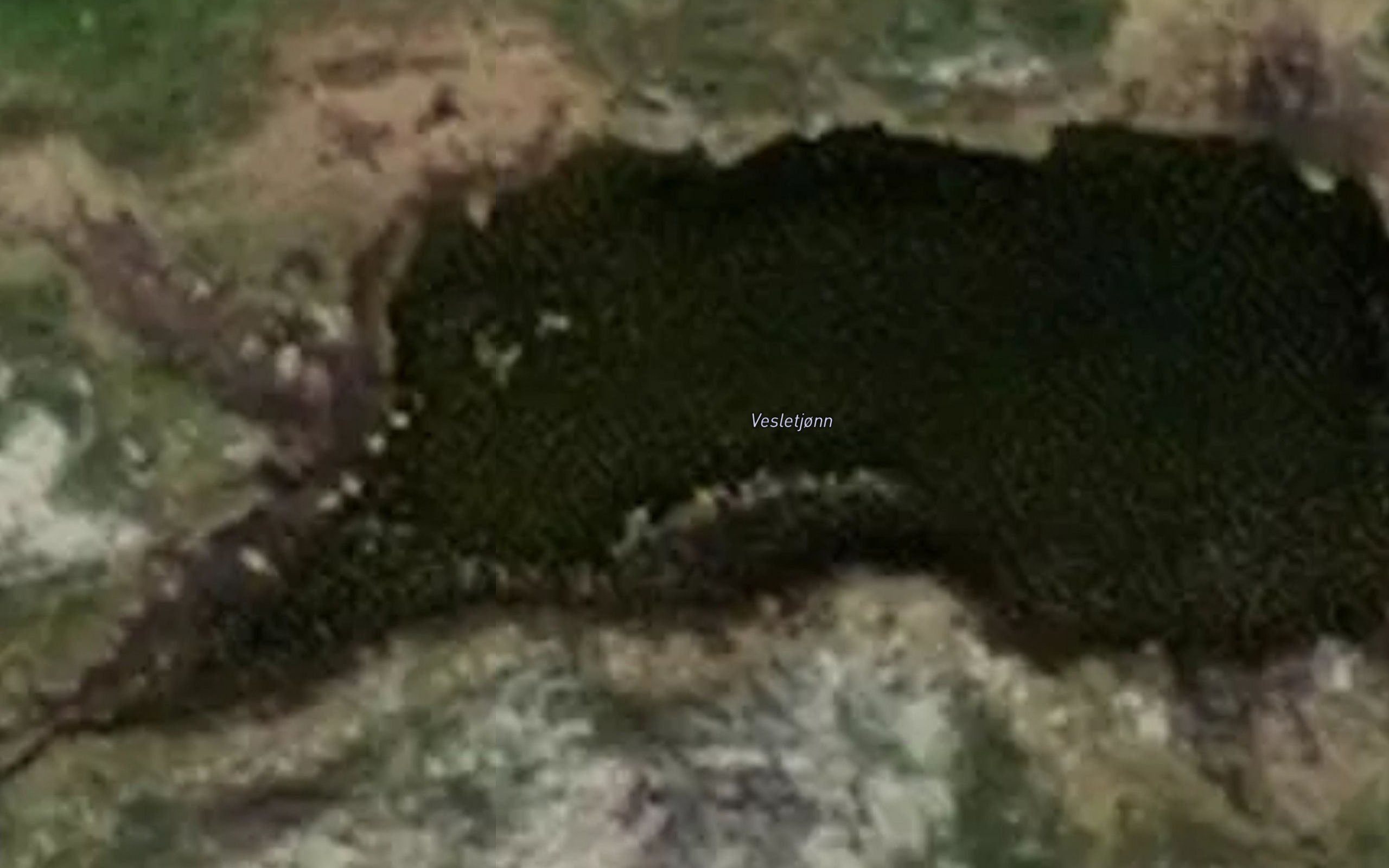 Vesletjonn