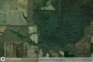 Satellite map of the Little Gum Pond