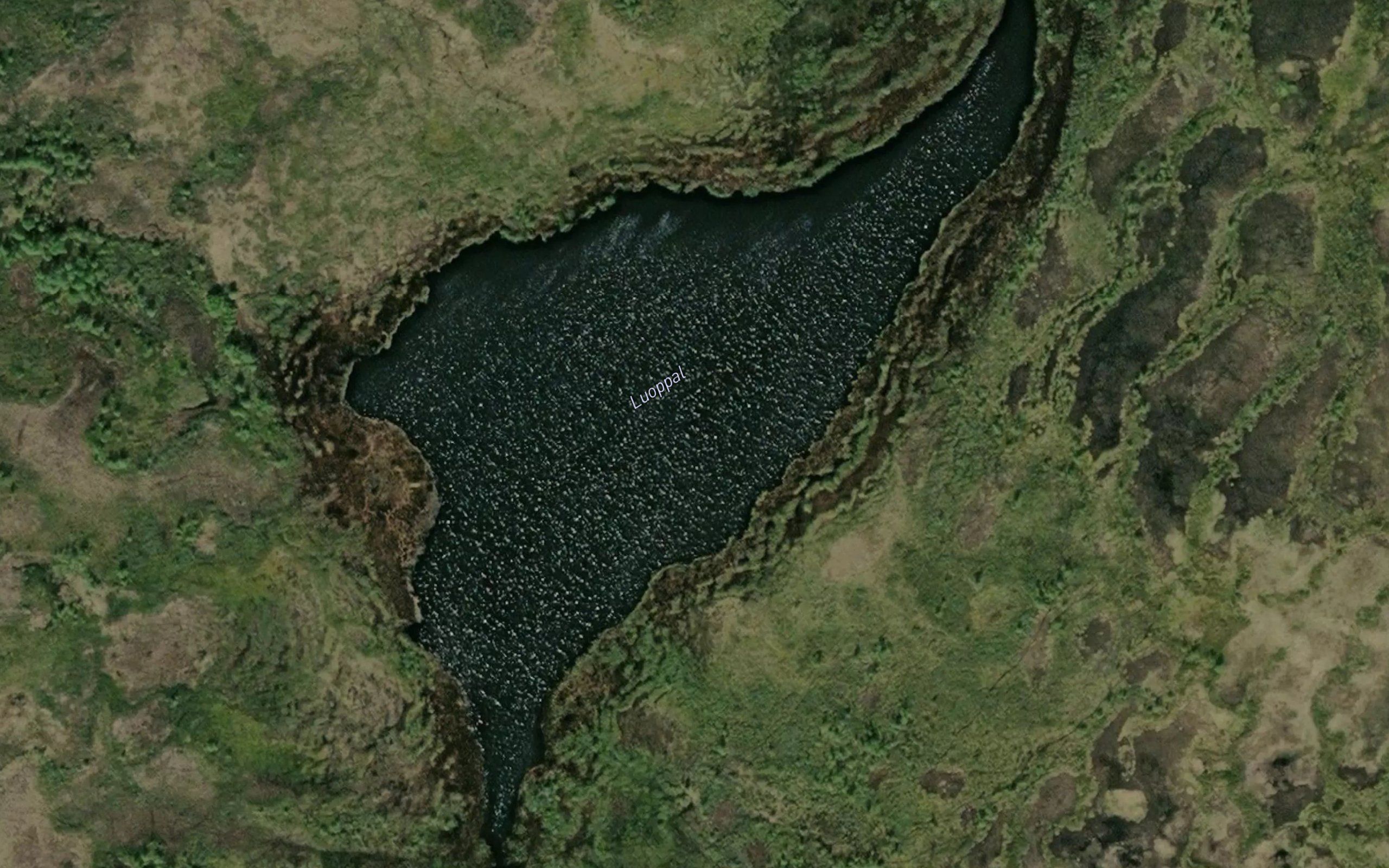 Luoppal