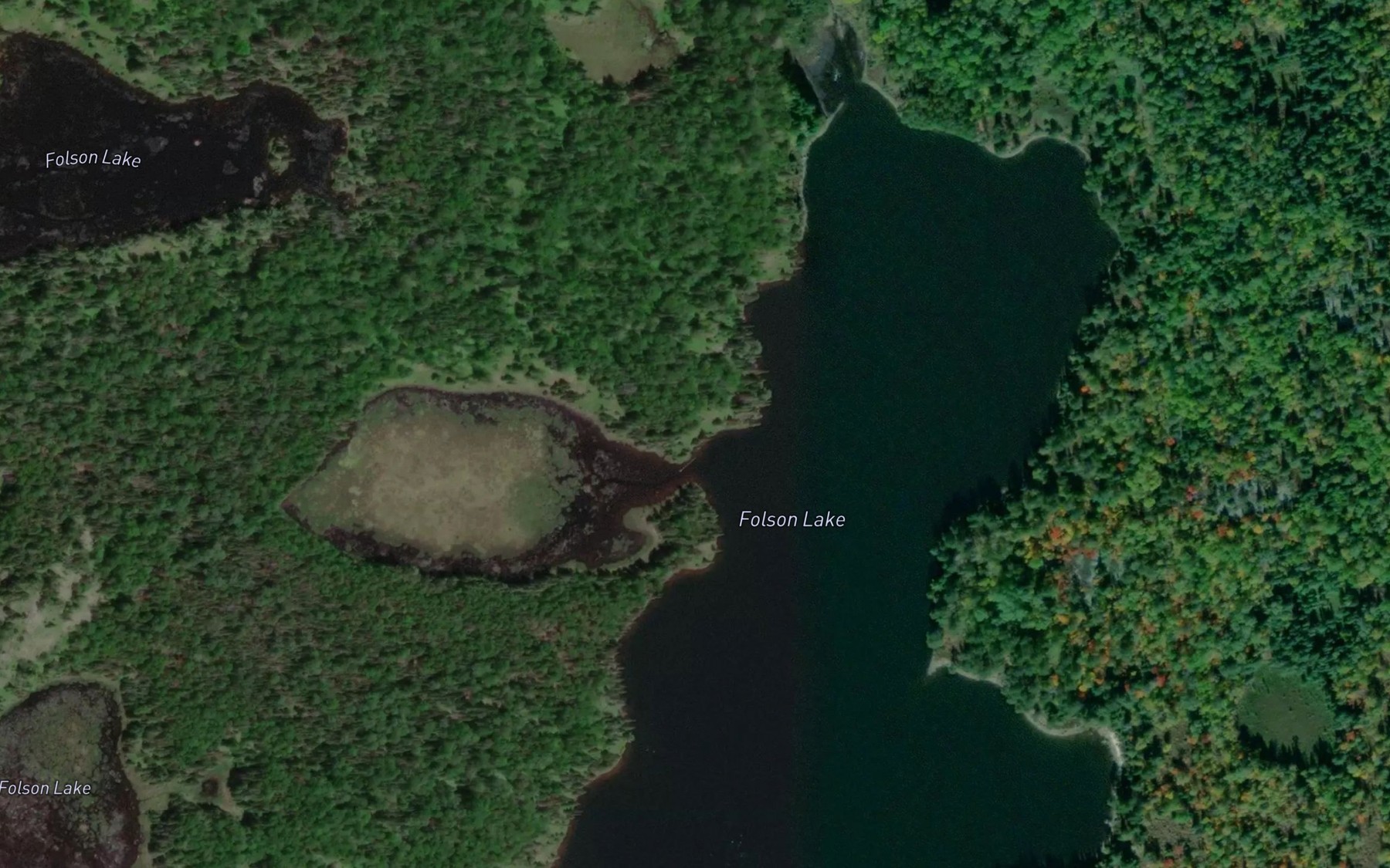 Satellite map of the Little Folson Lake