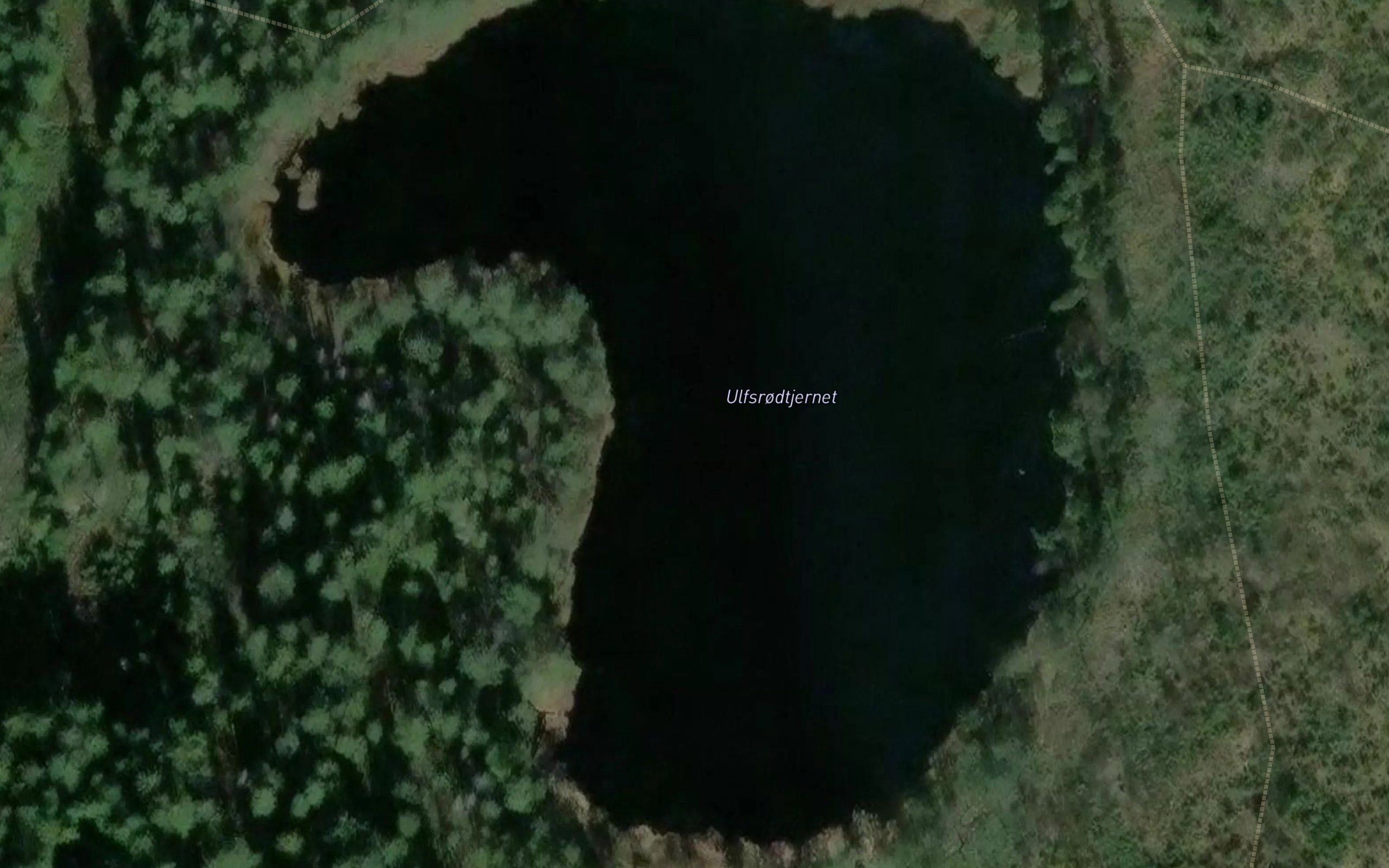 Ulfsrodtjern