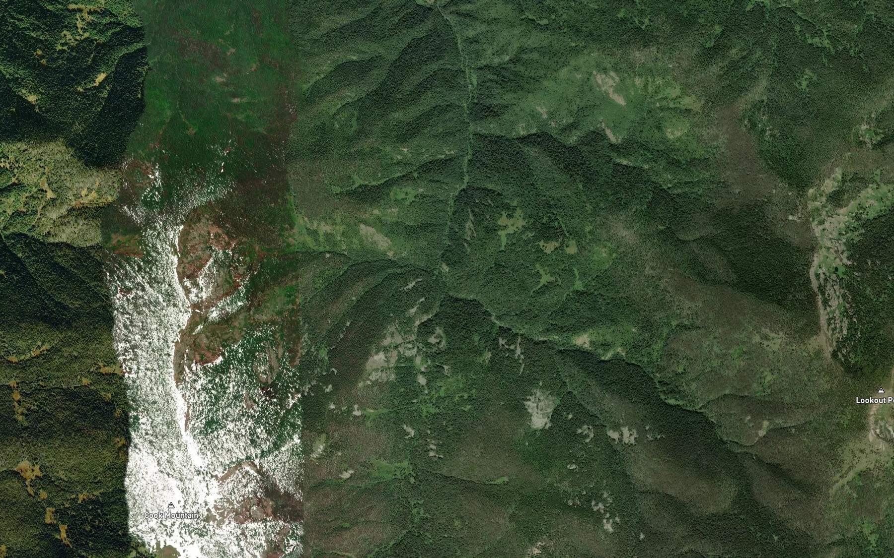Satellite map of the Cook Creek