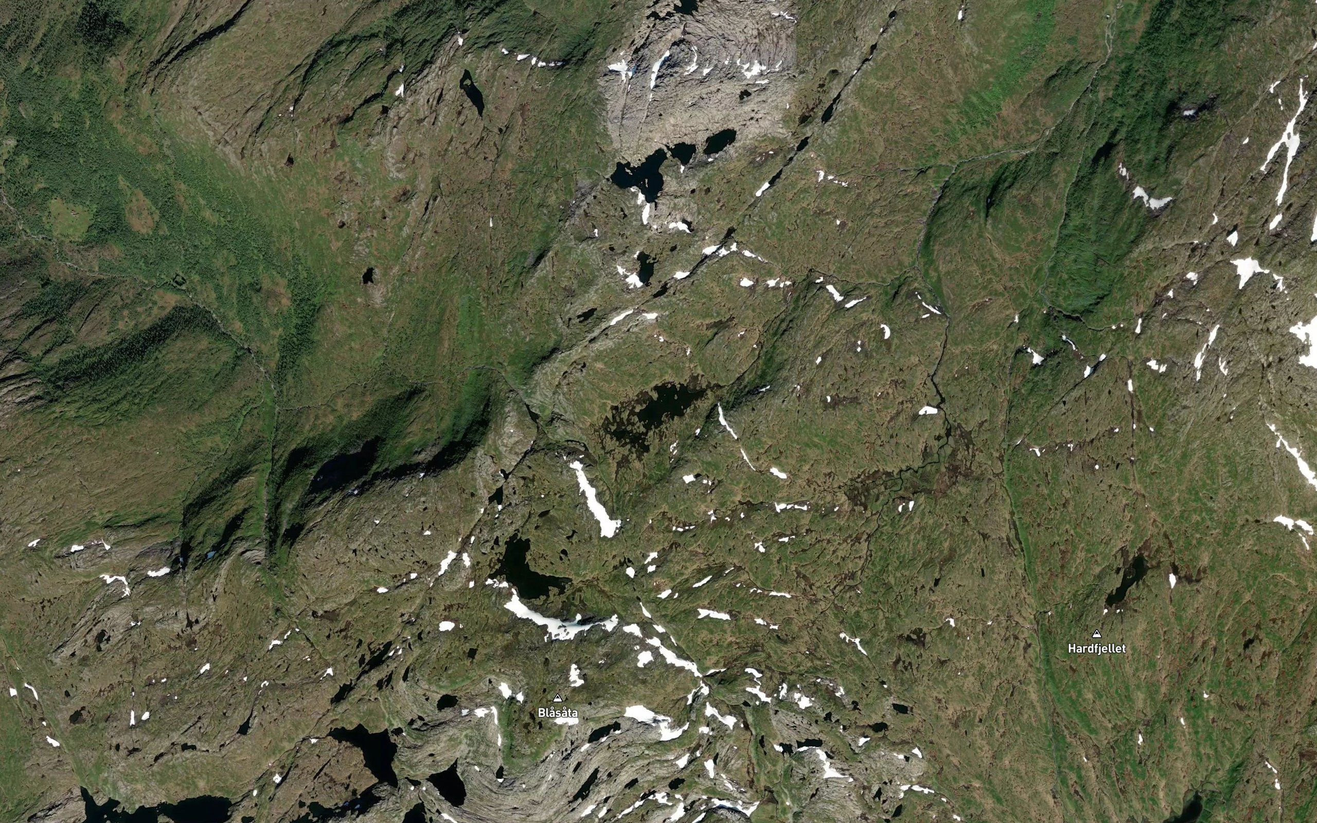 Osskardtjorni