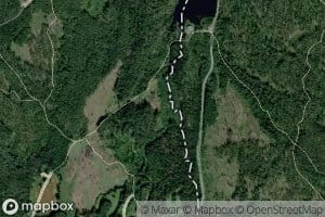 Dysta