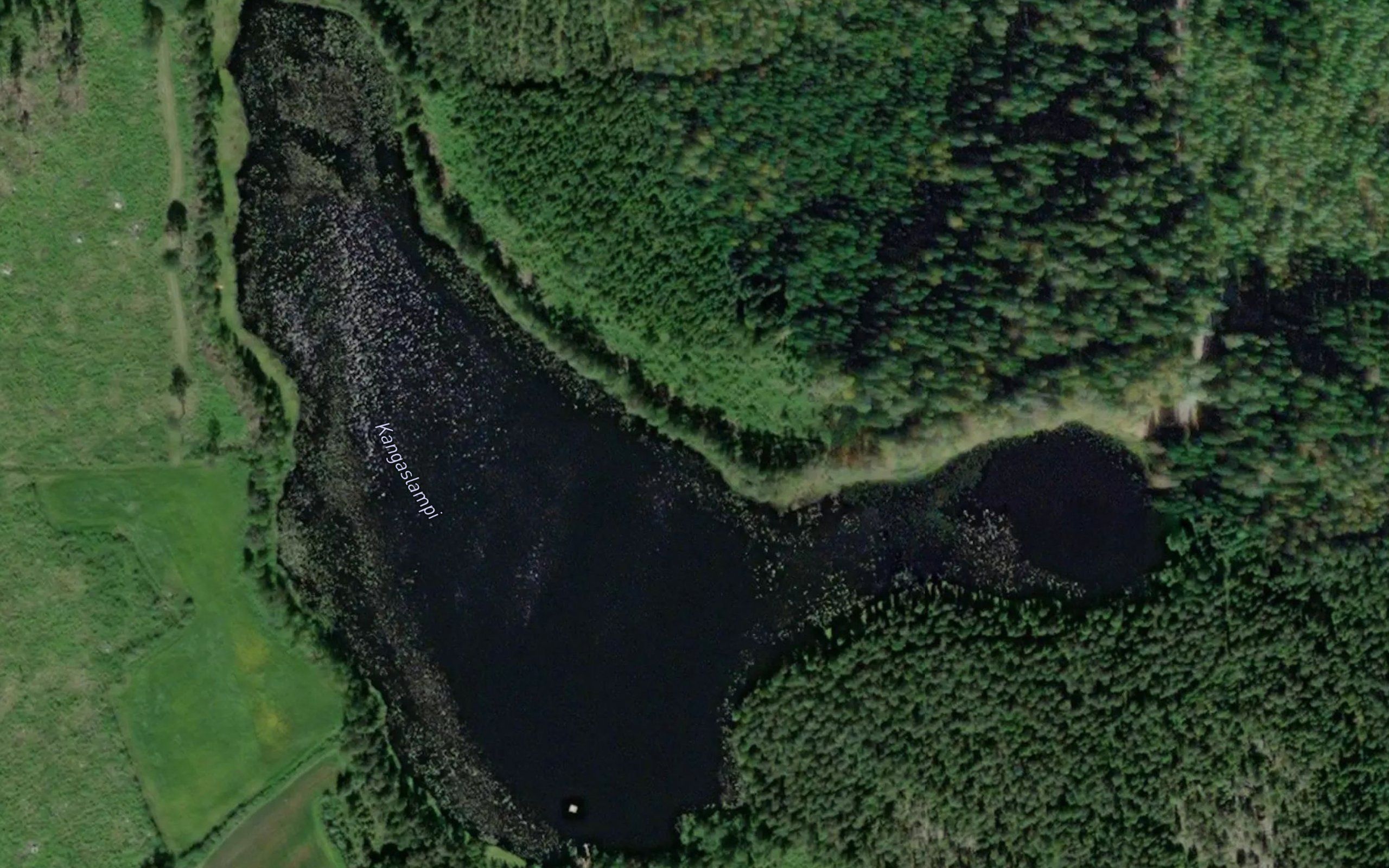Kangaslampi