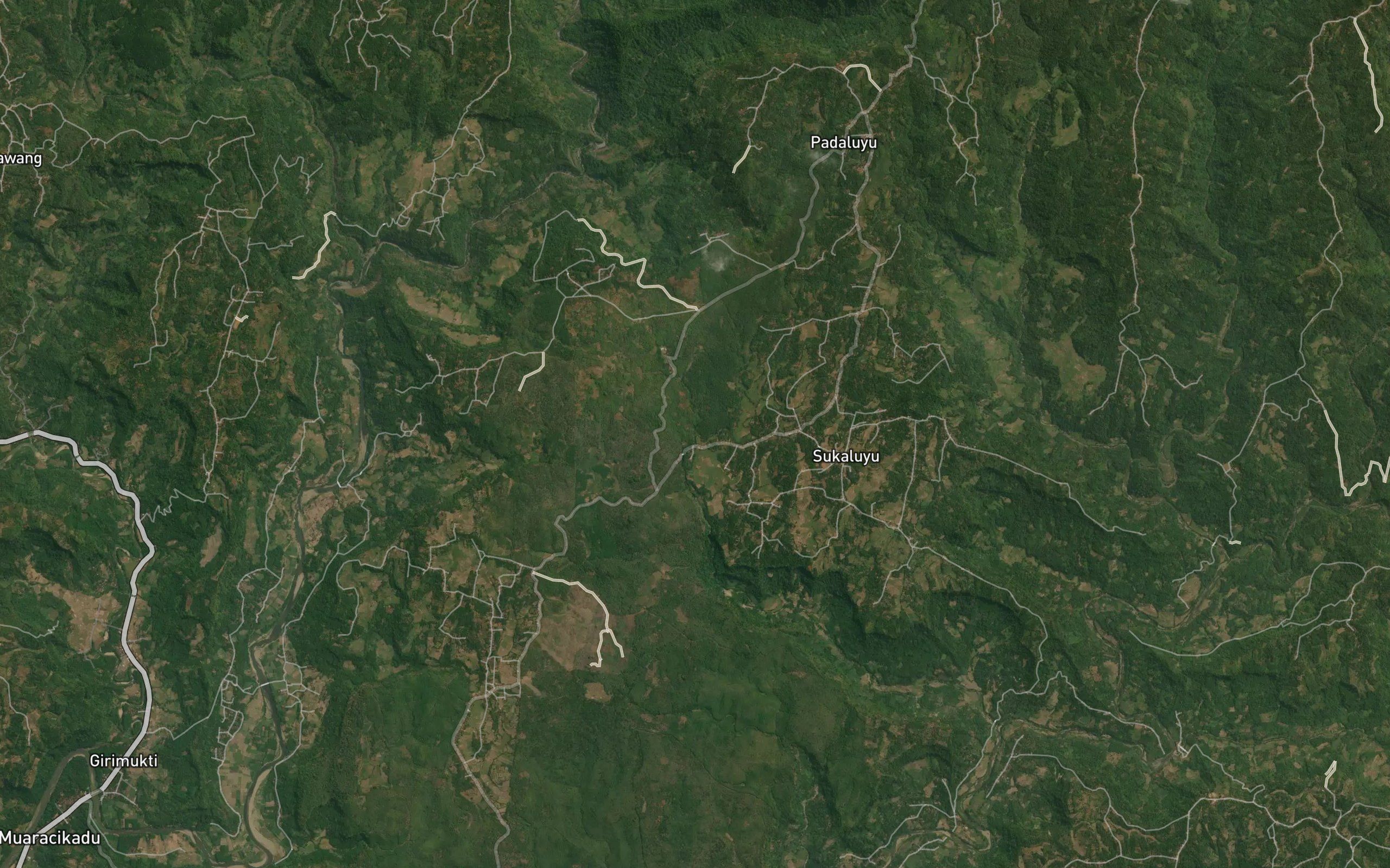Ci Jangkar
