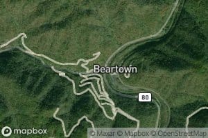 Beartown Branch
