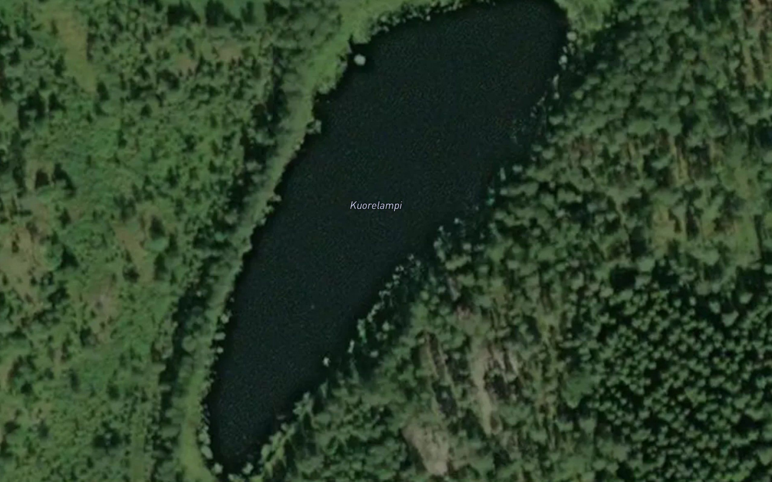 Kuorelampi