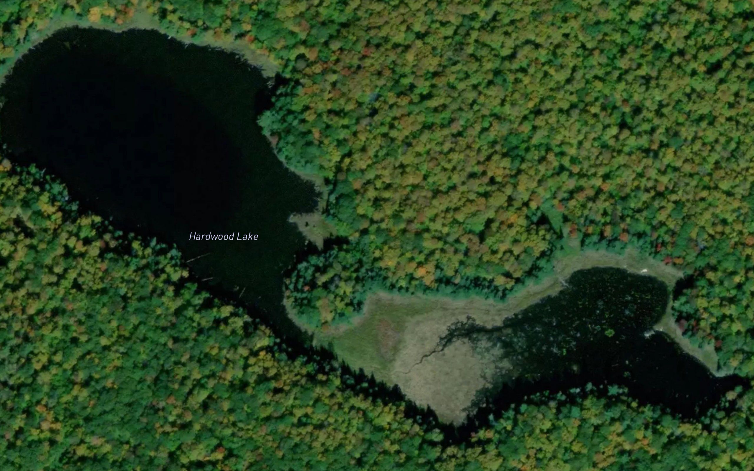 Hardwood Lake