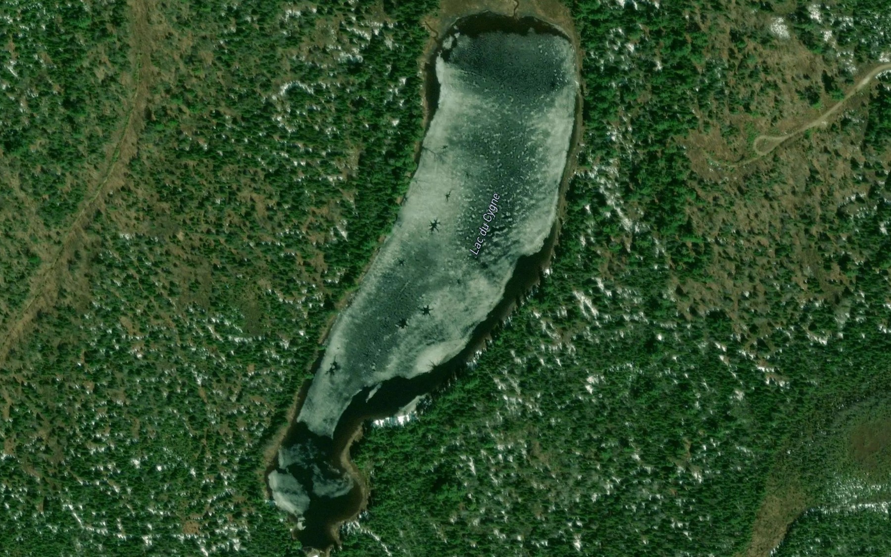 Satellite map of the Lac du Cygne