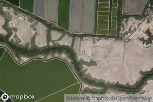 Estero Pedregal