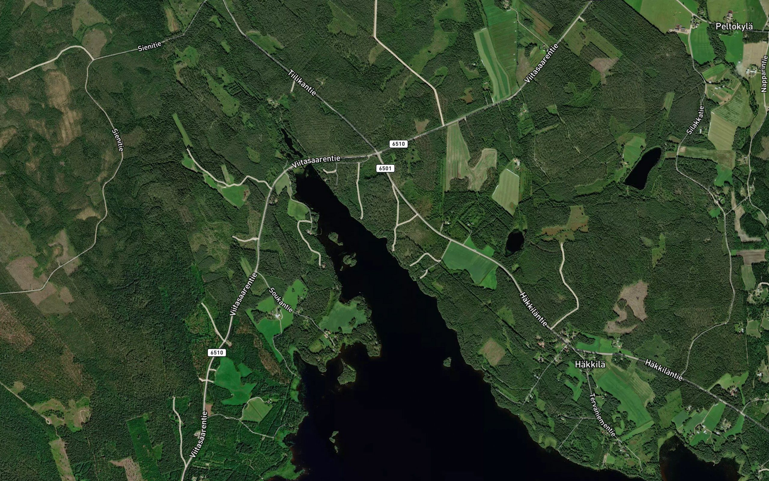 Tervalahti