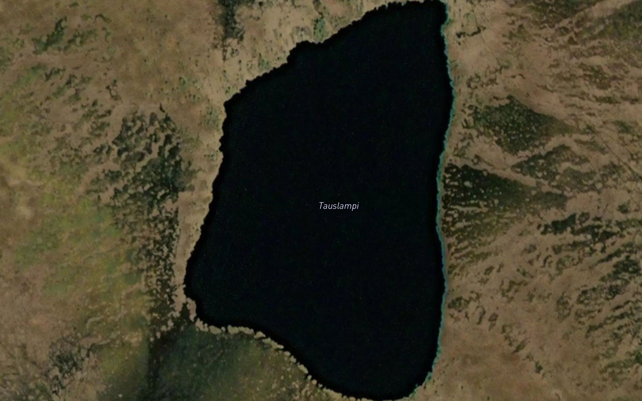 Tauslampi