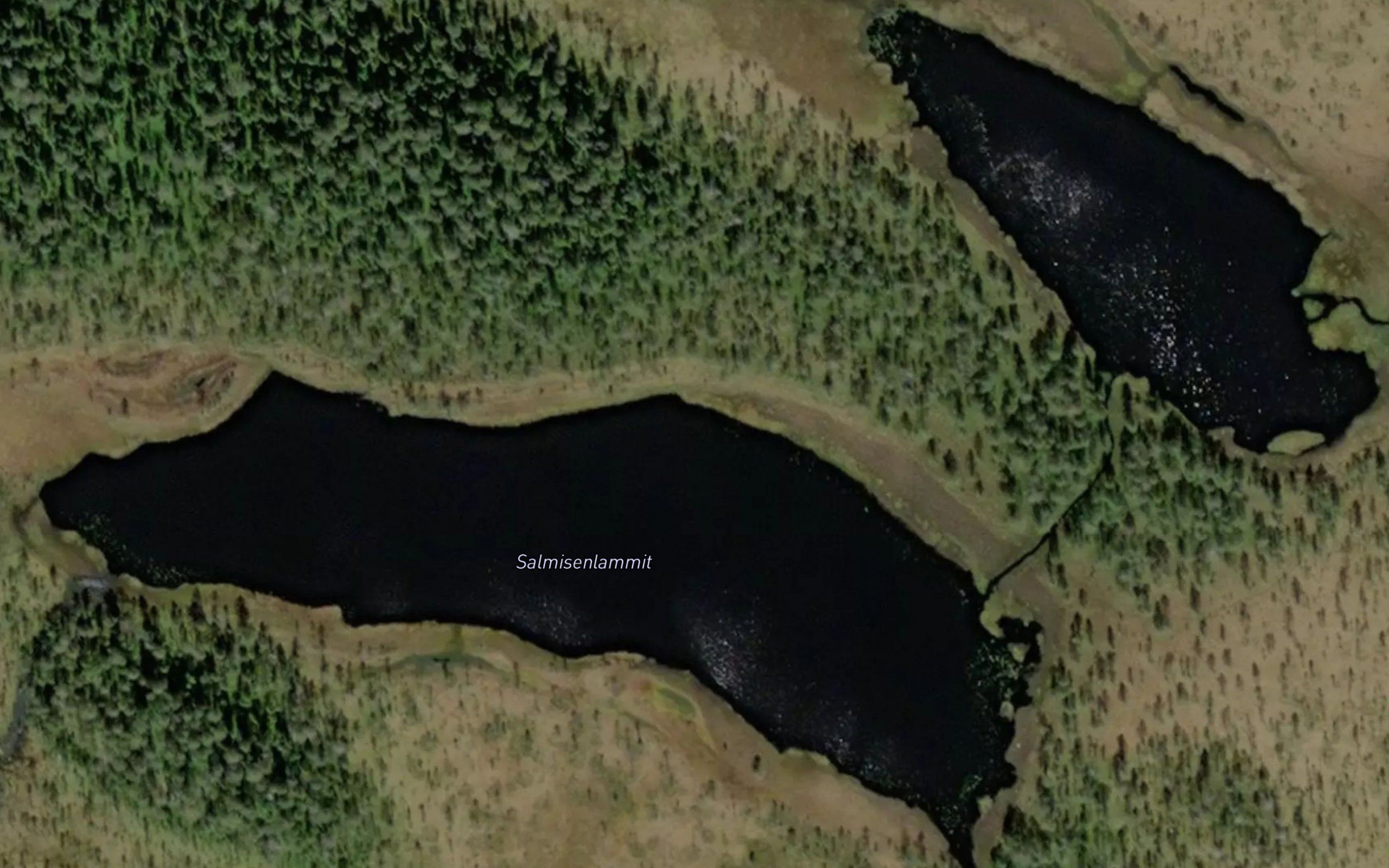 Salmisenlammit