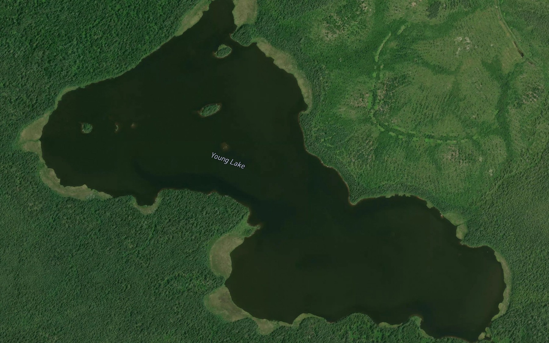 Satellite map of the Young Lake