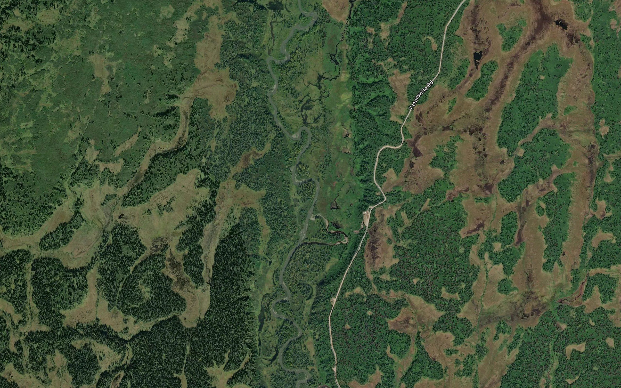 Lampoon Pond