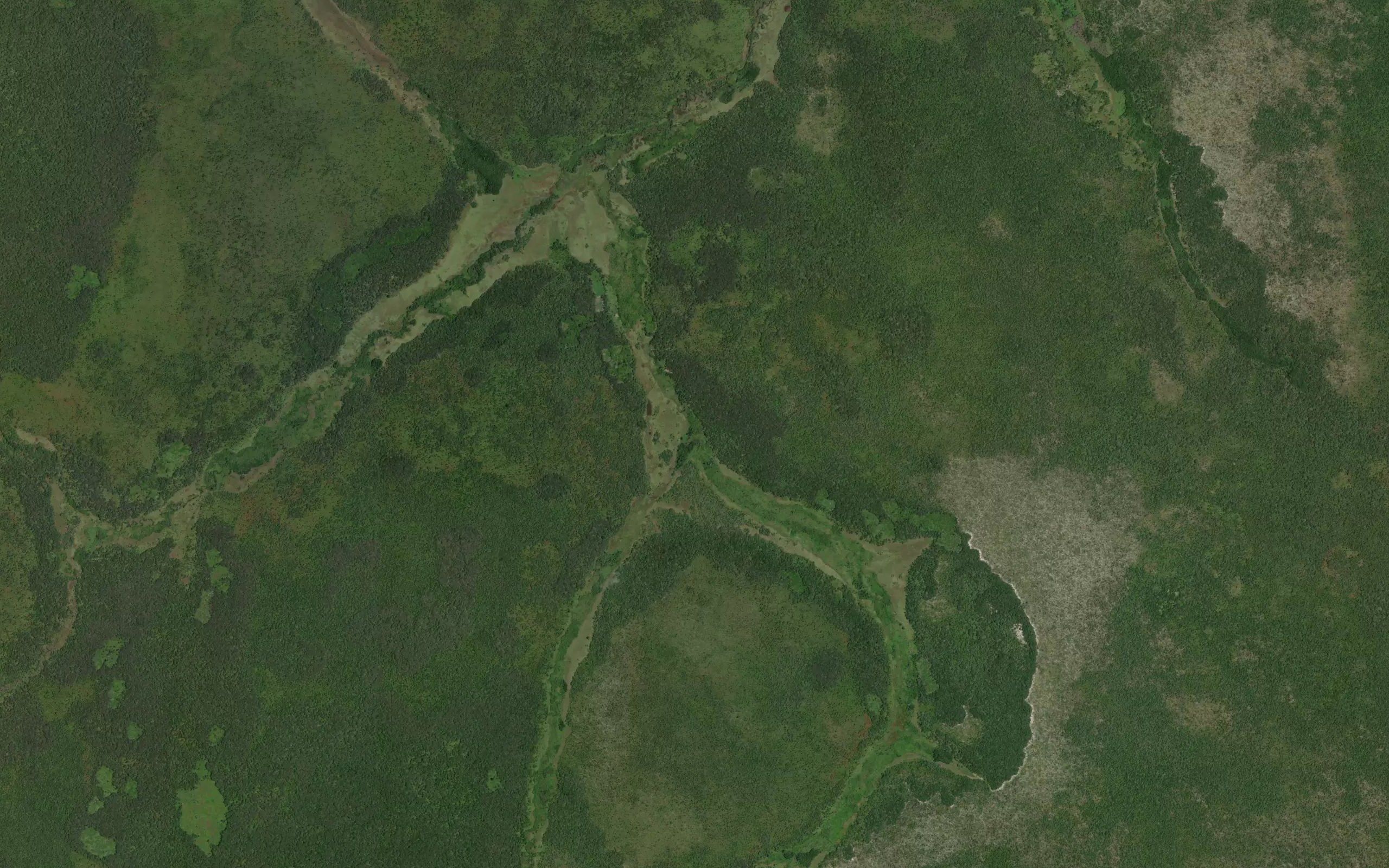 Kakumbi
