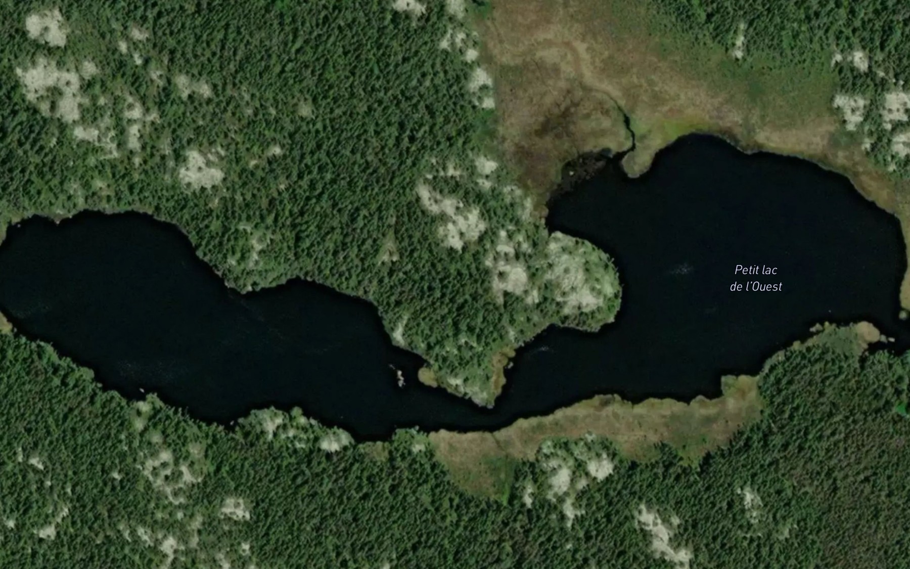 Satellite map of the Petit lac de l'Ouest