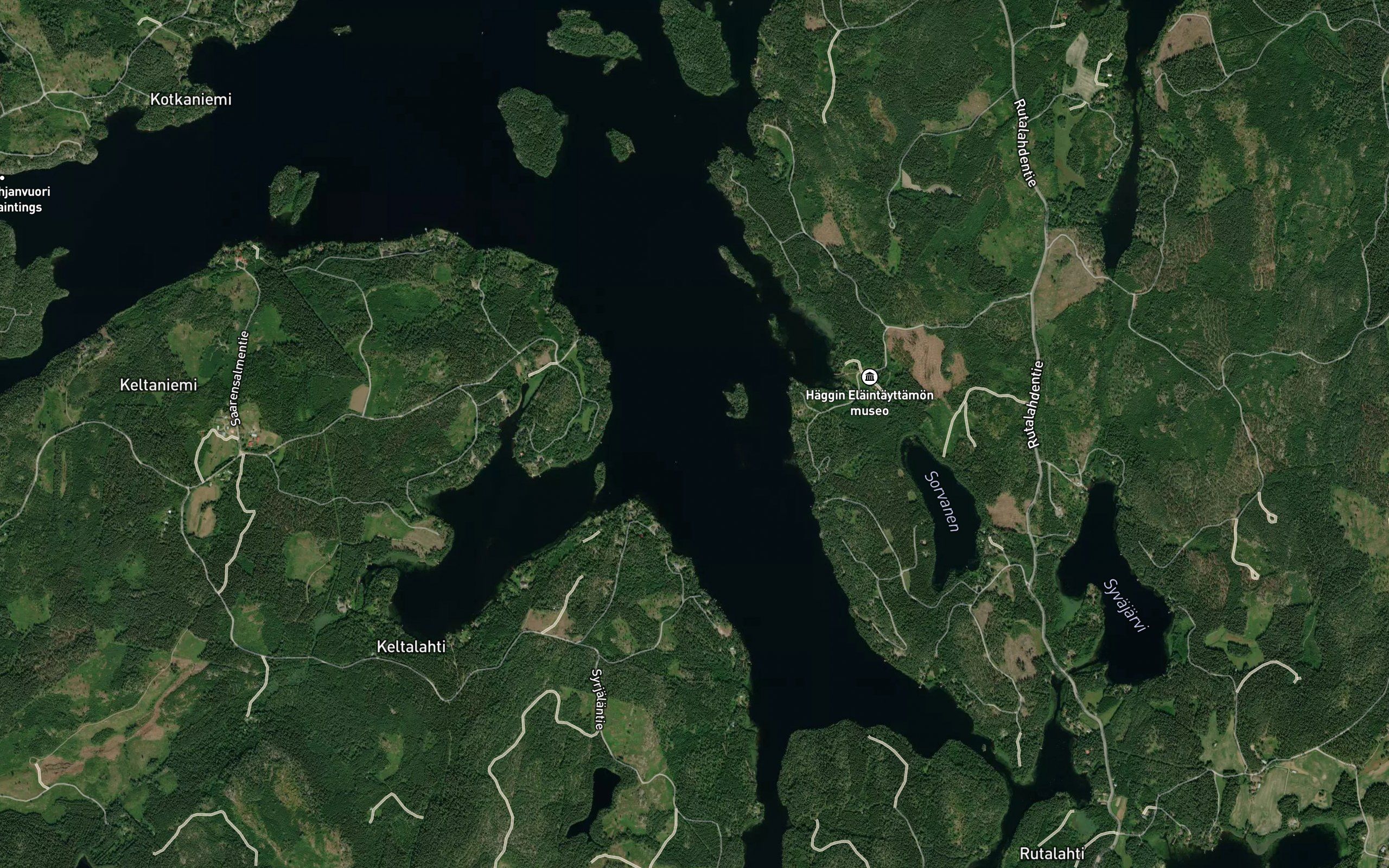 Koivuselka
