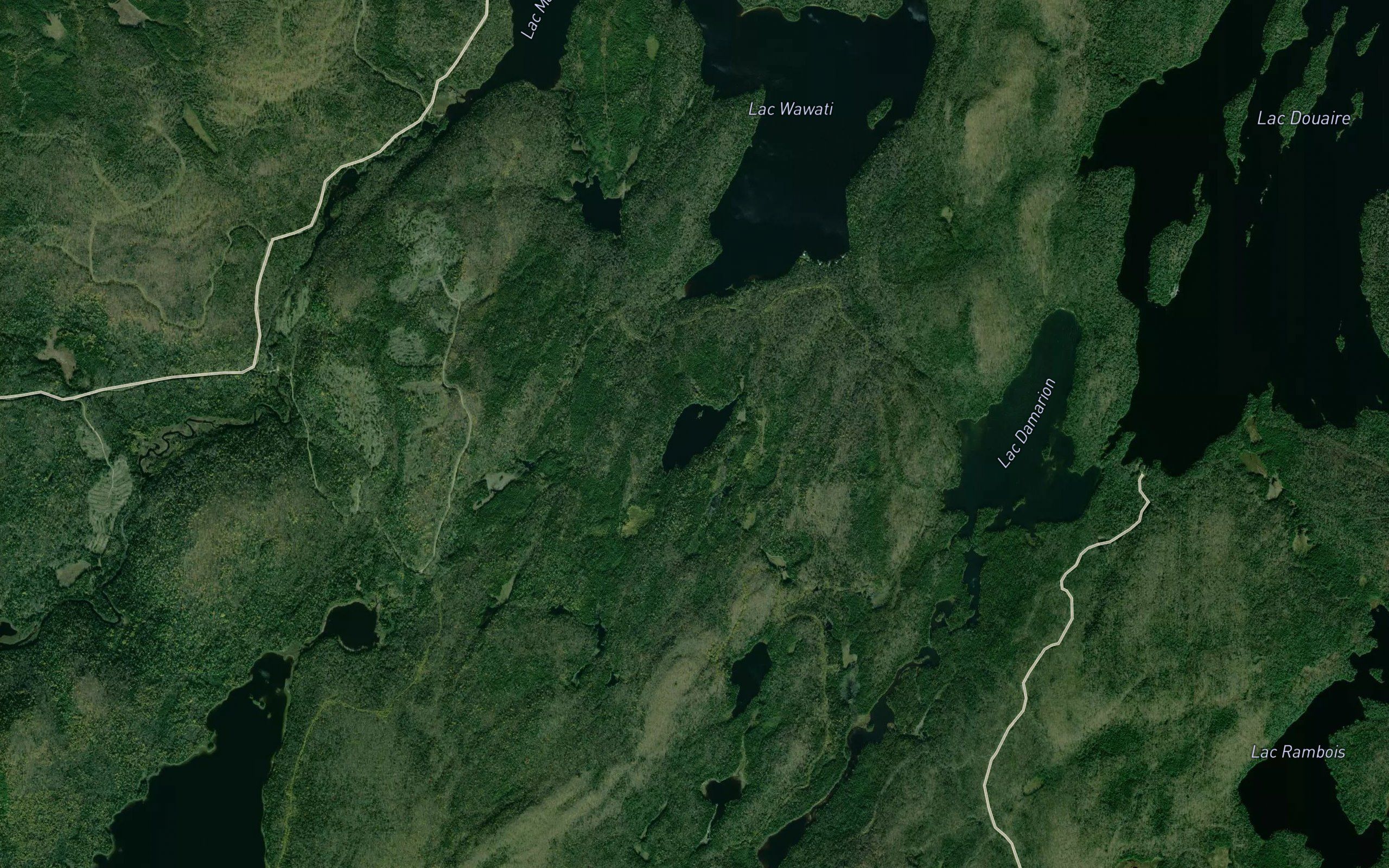 Lac Moustique