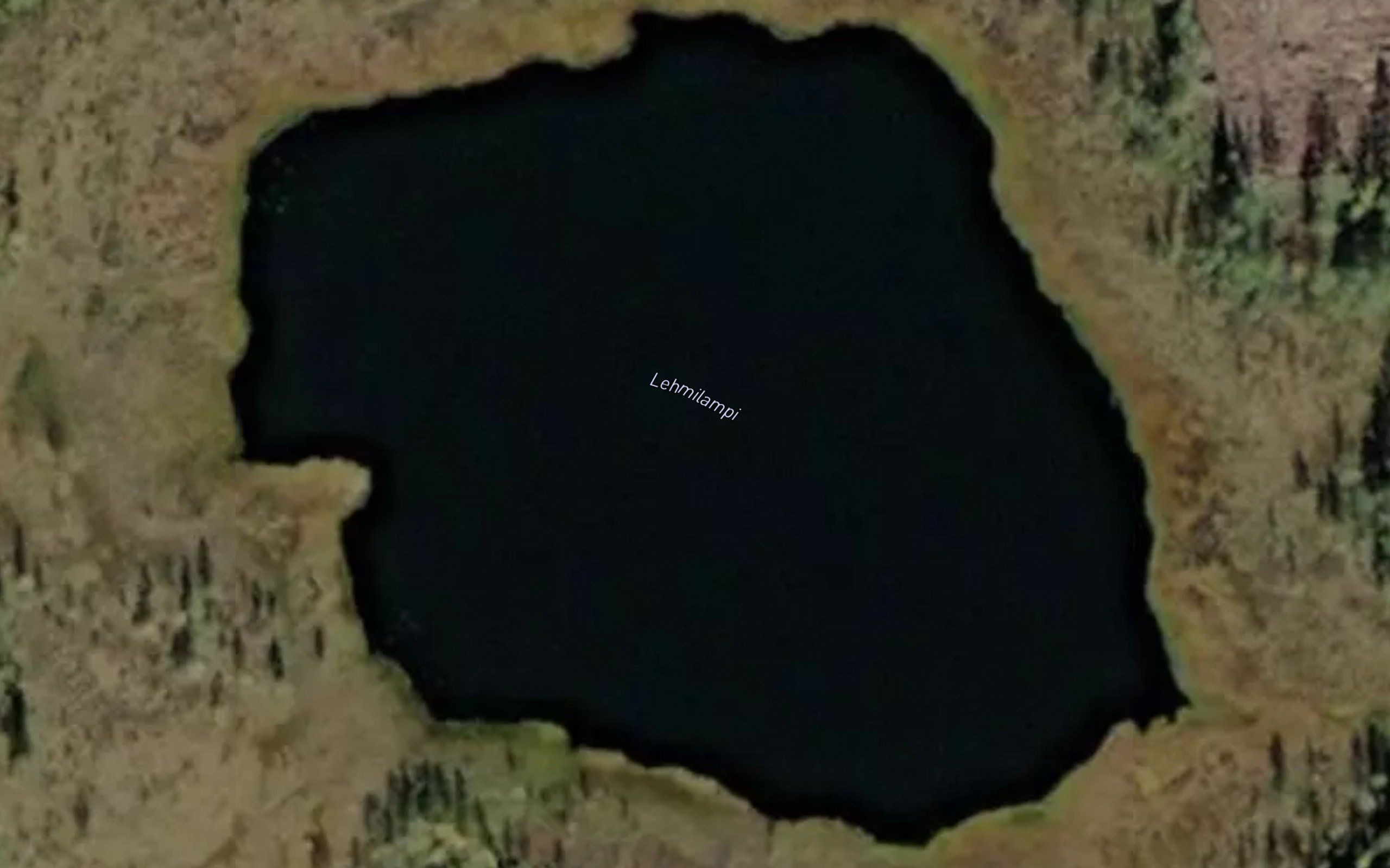Lehmilampi