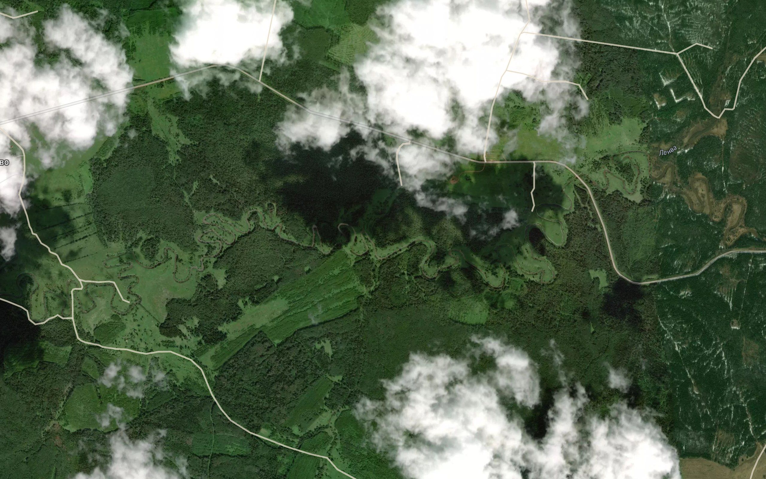 Utochka