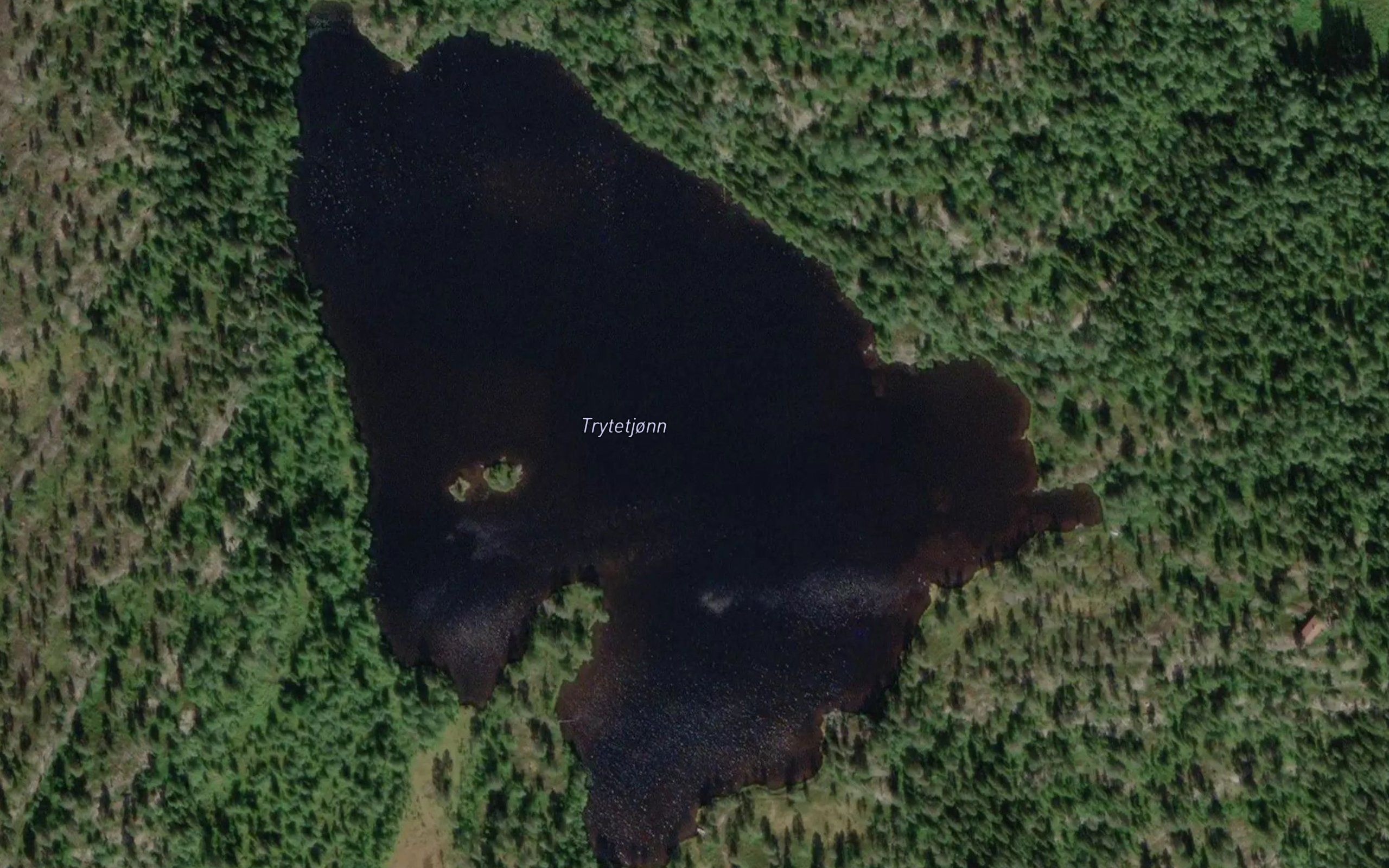 Trytetjorni