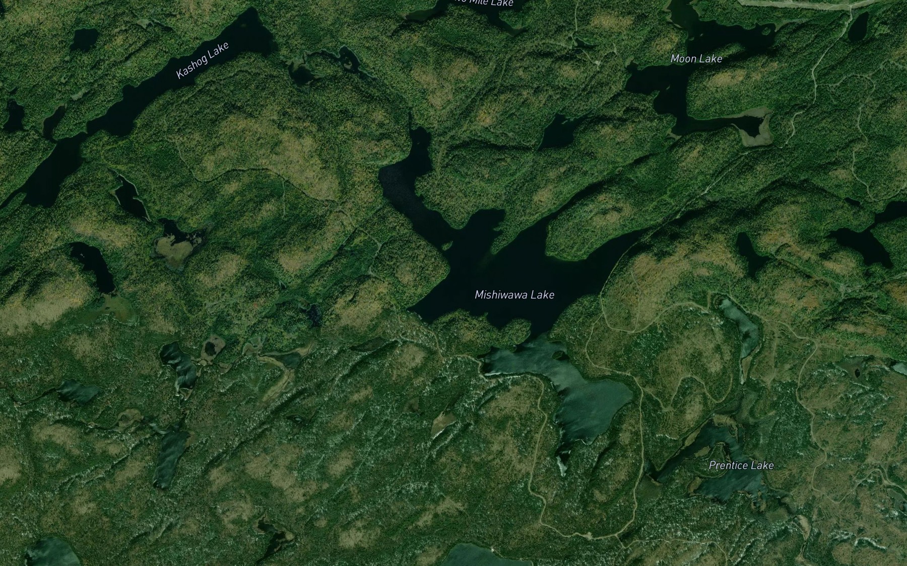 Satellite map of the Lac Mishewawa