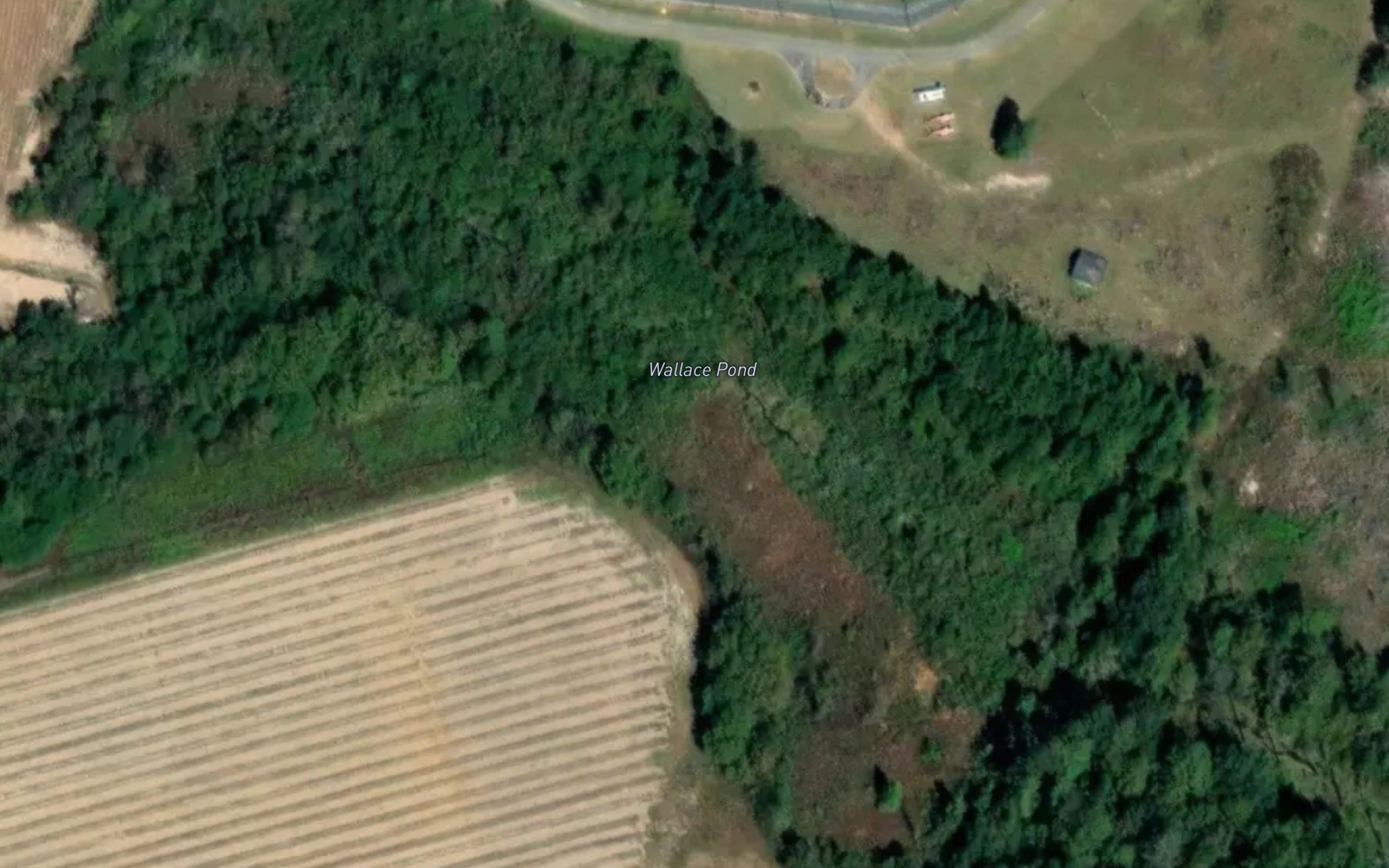 Wallace Pond