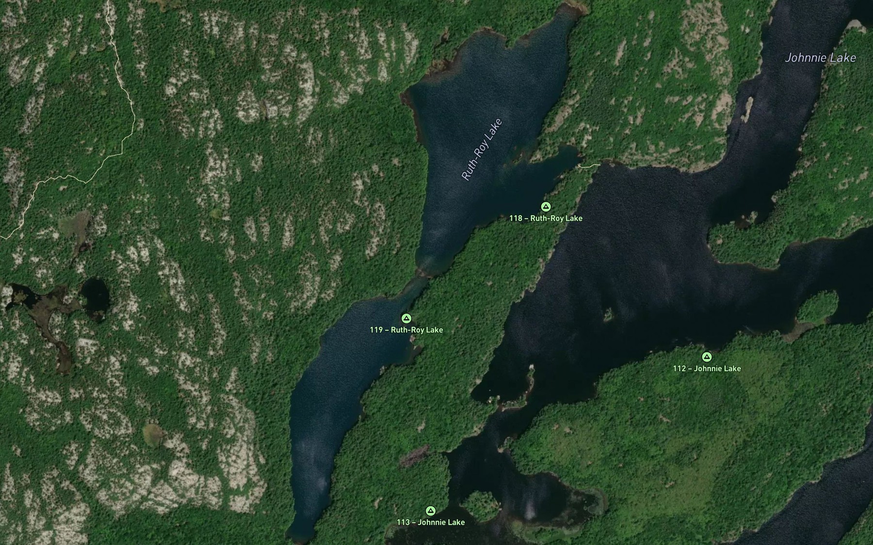 Satellite map of the Ruth-Roy Lake