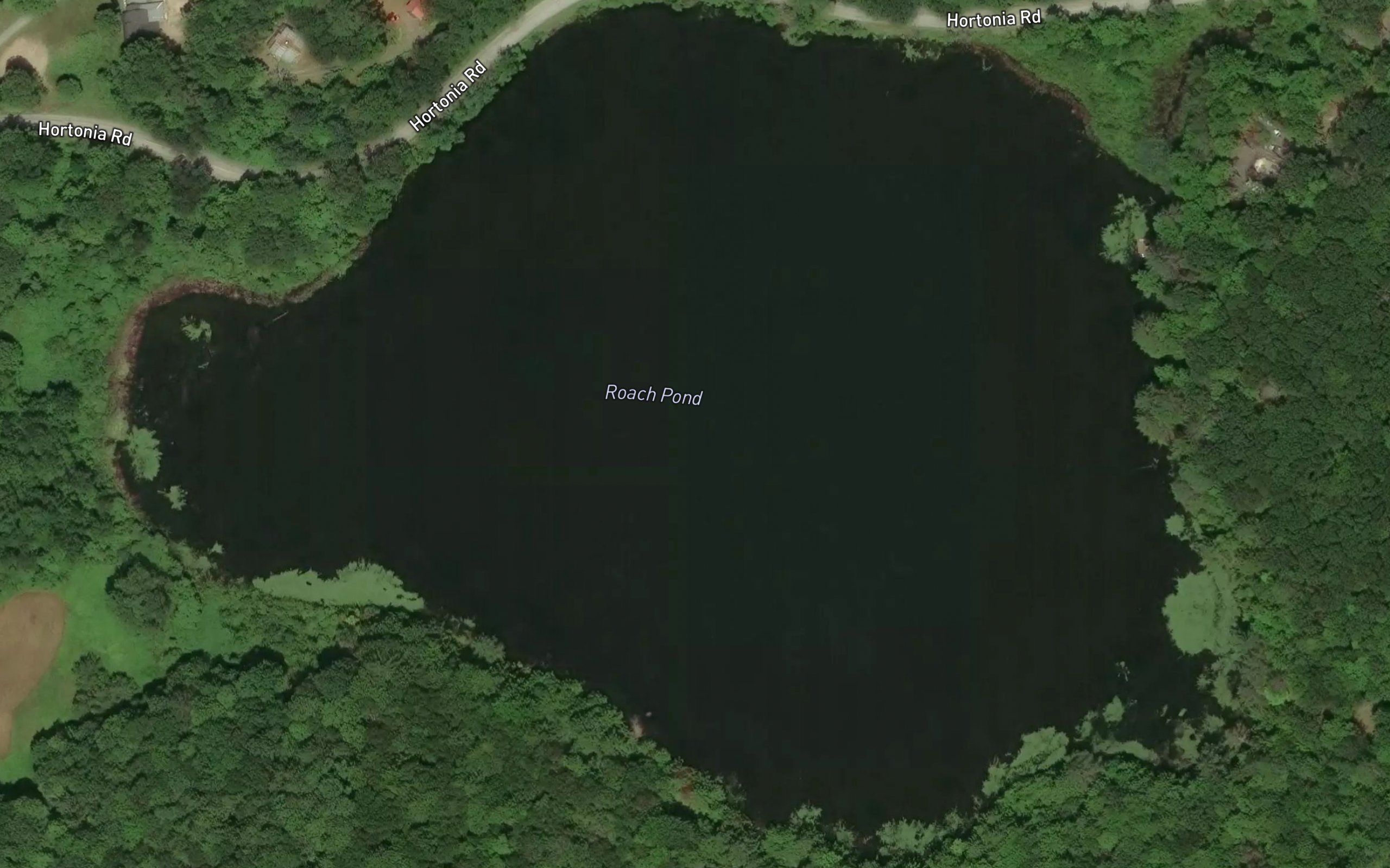Roach Pond