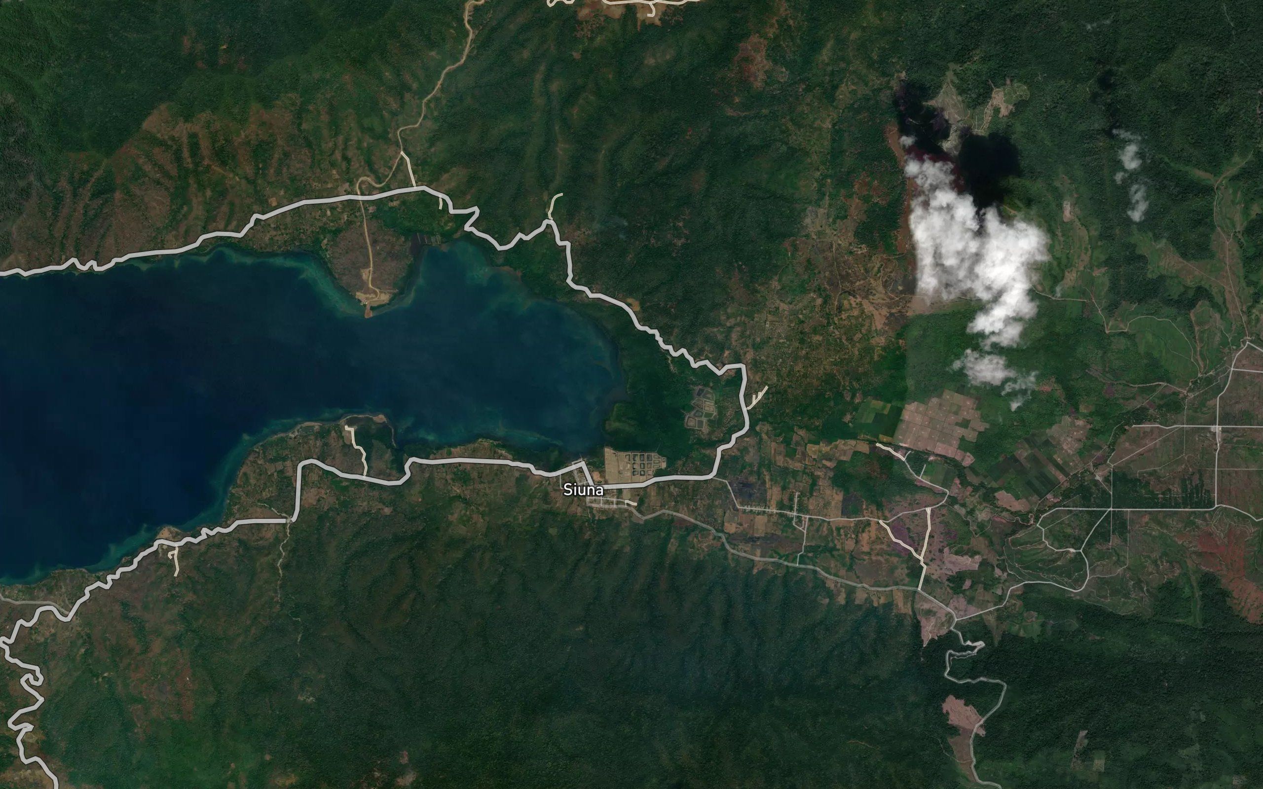 Kaunyo Siuna