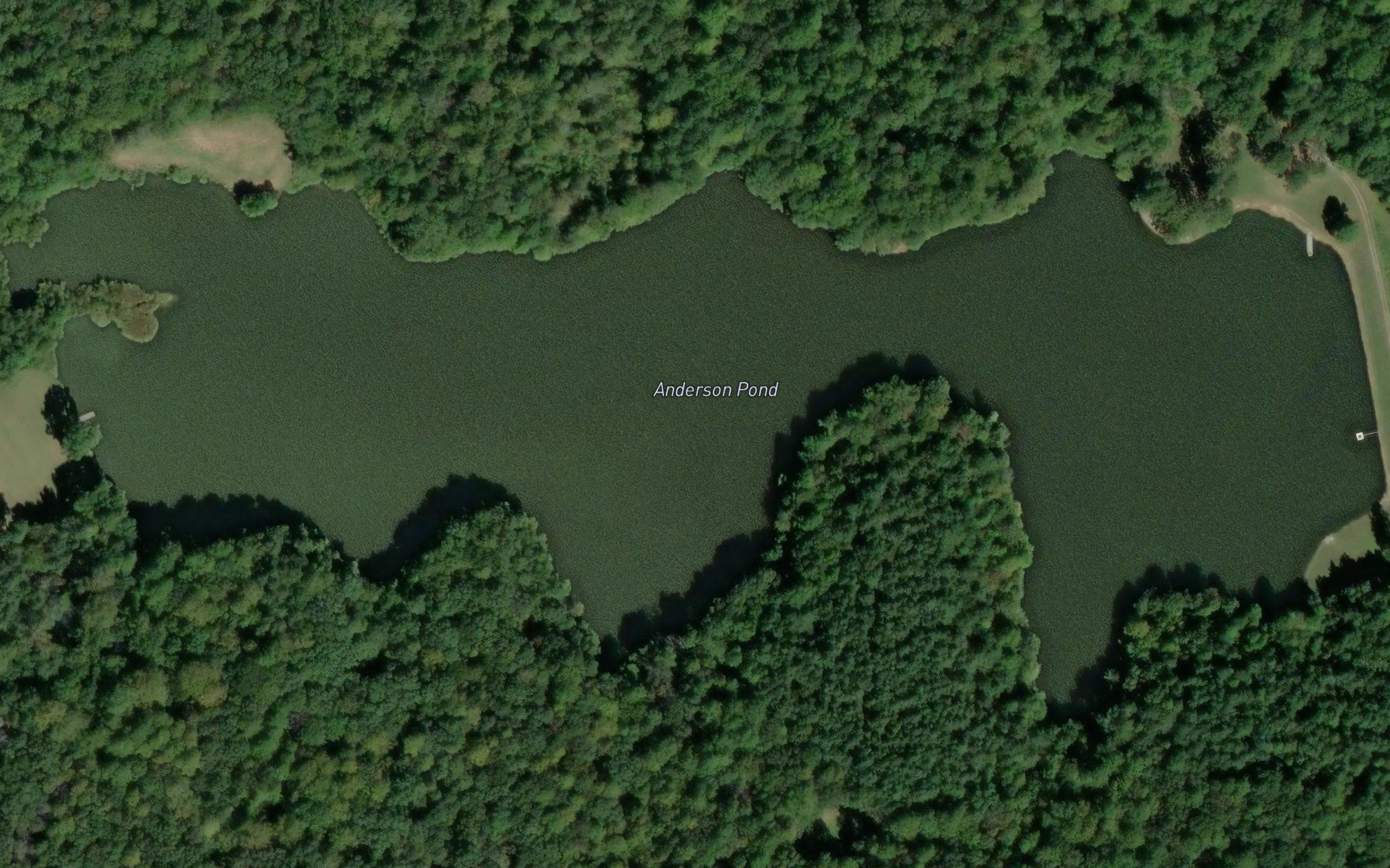 Anderson Pond
