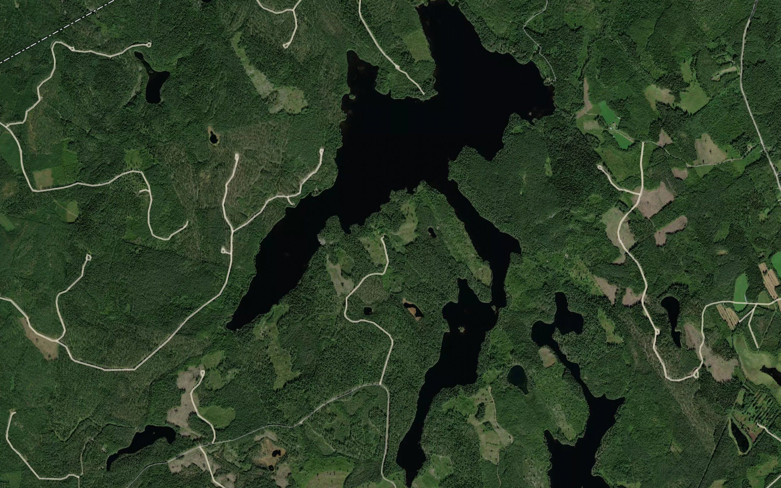 Mataroinen