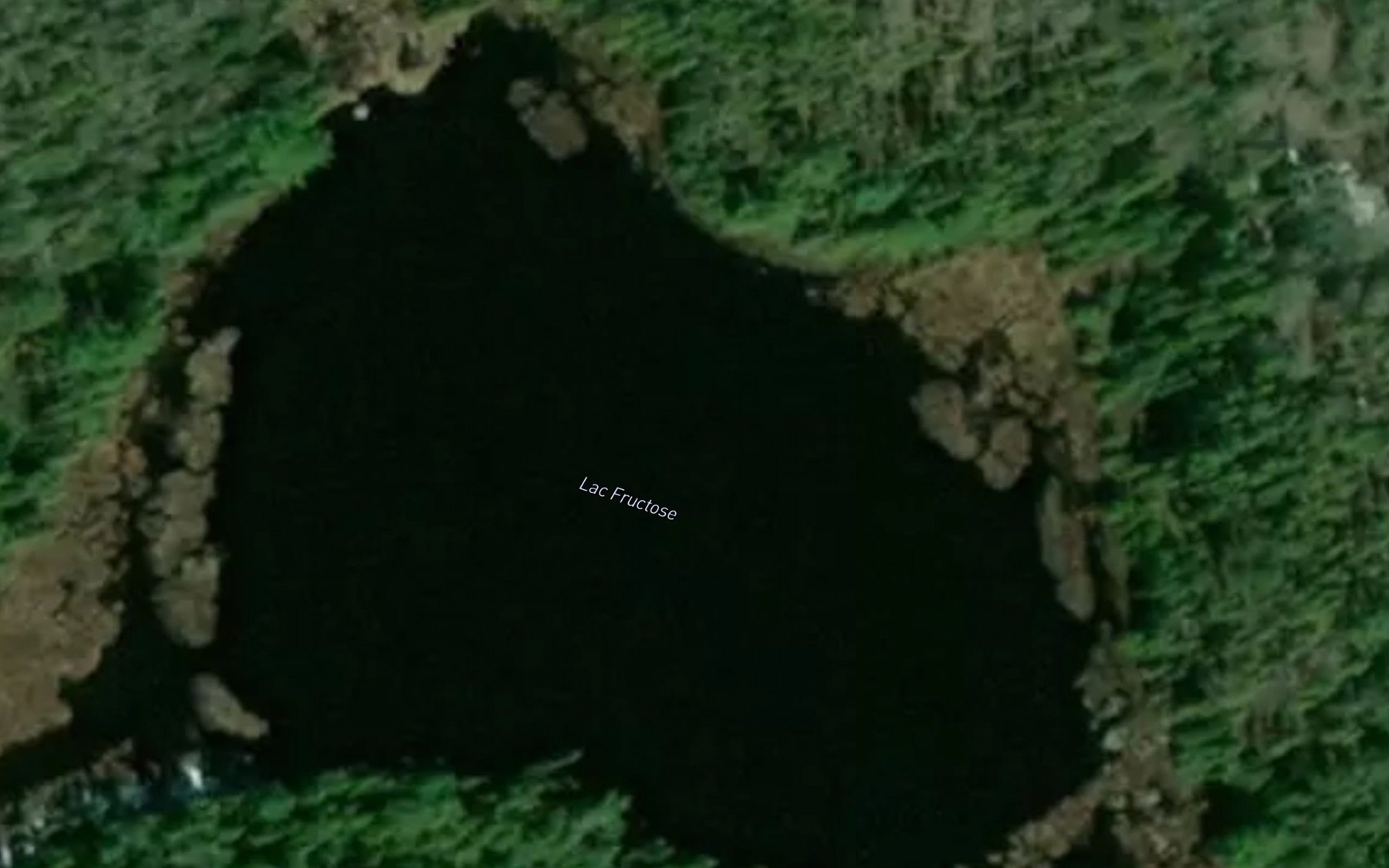 Satellite map of the Lac Fructose