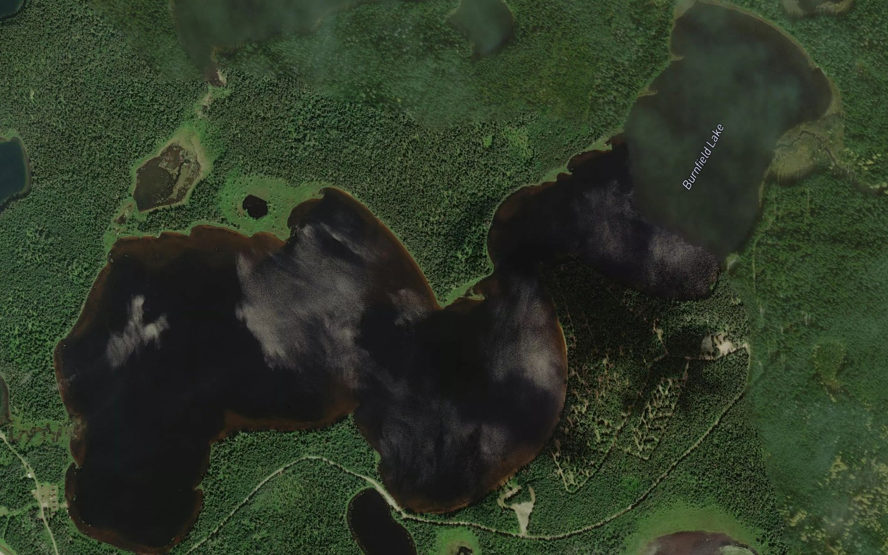 Satellite map of the Burnfield Lake