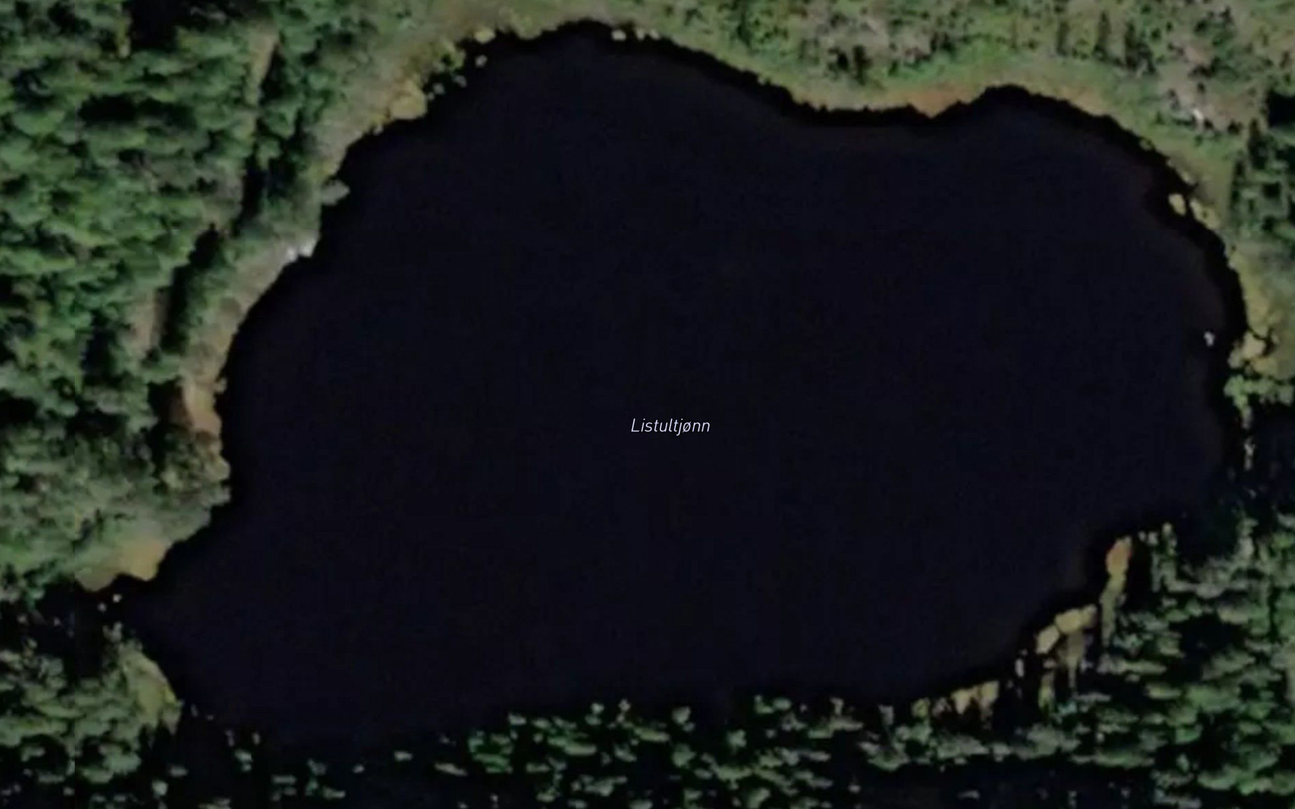 Listultjonn