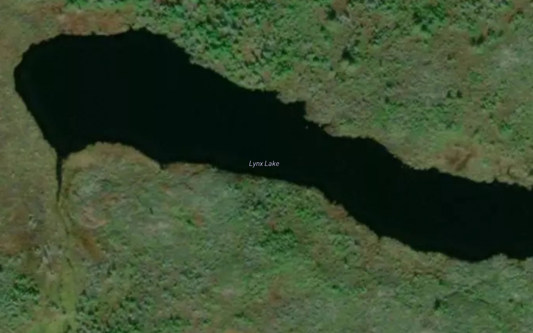 Satellite map of the Lynx Lake