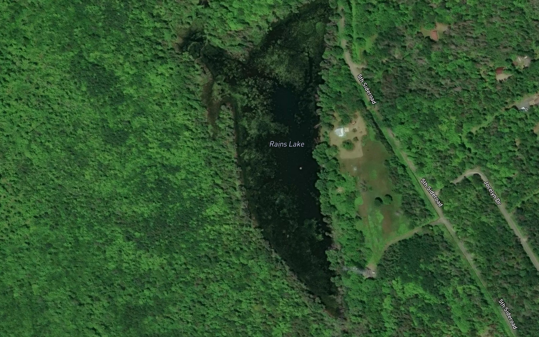Satellite map of the Rains Lake