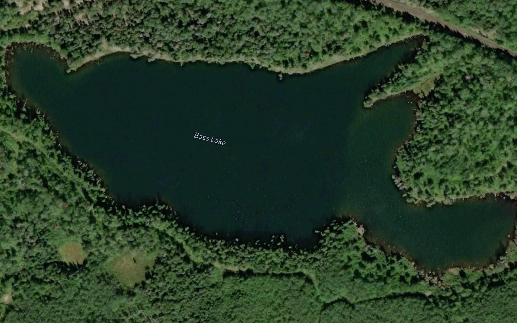 Satellite map of the Bass Lake