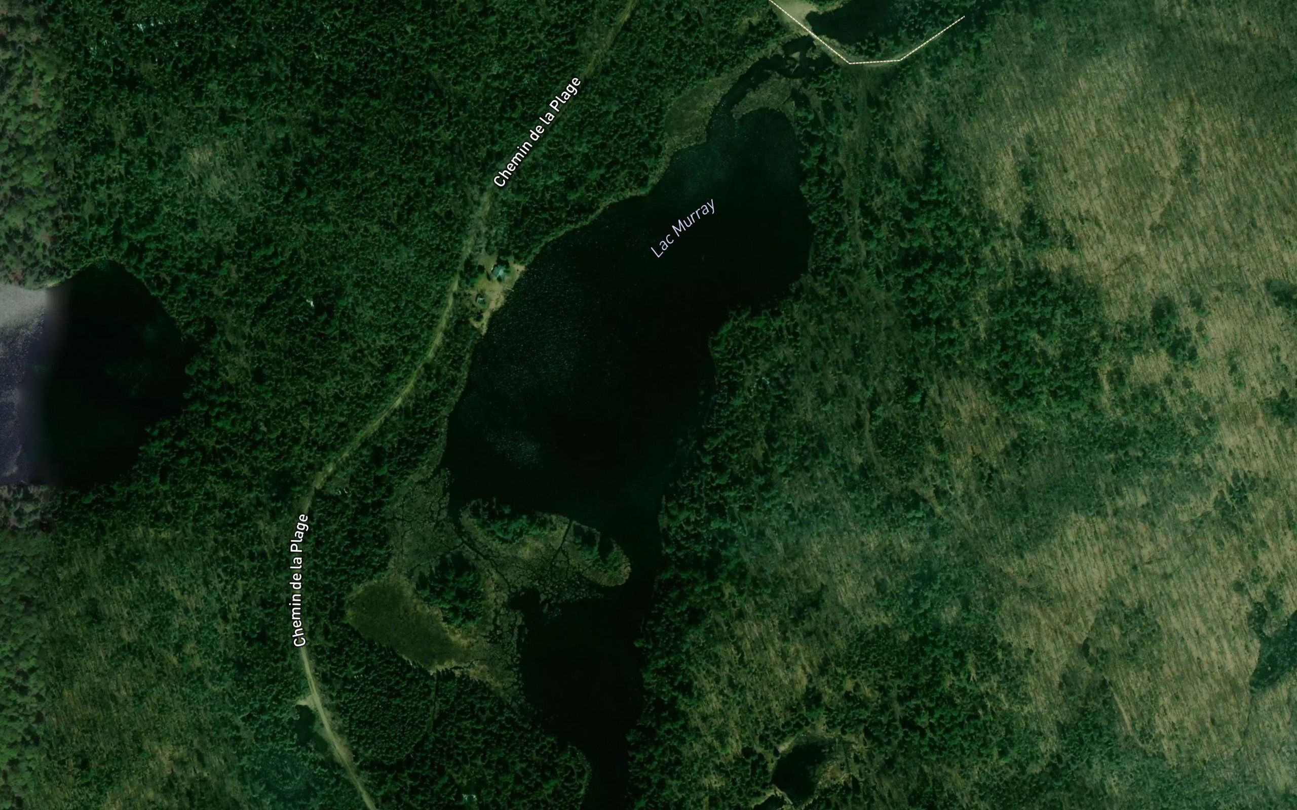 Lac Murray