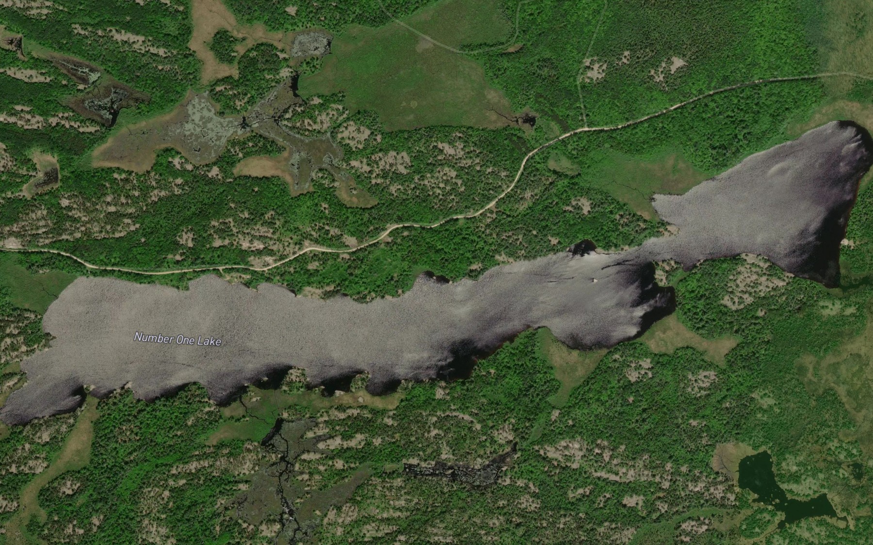 Satellite map of the Number One Lake