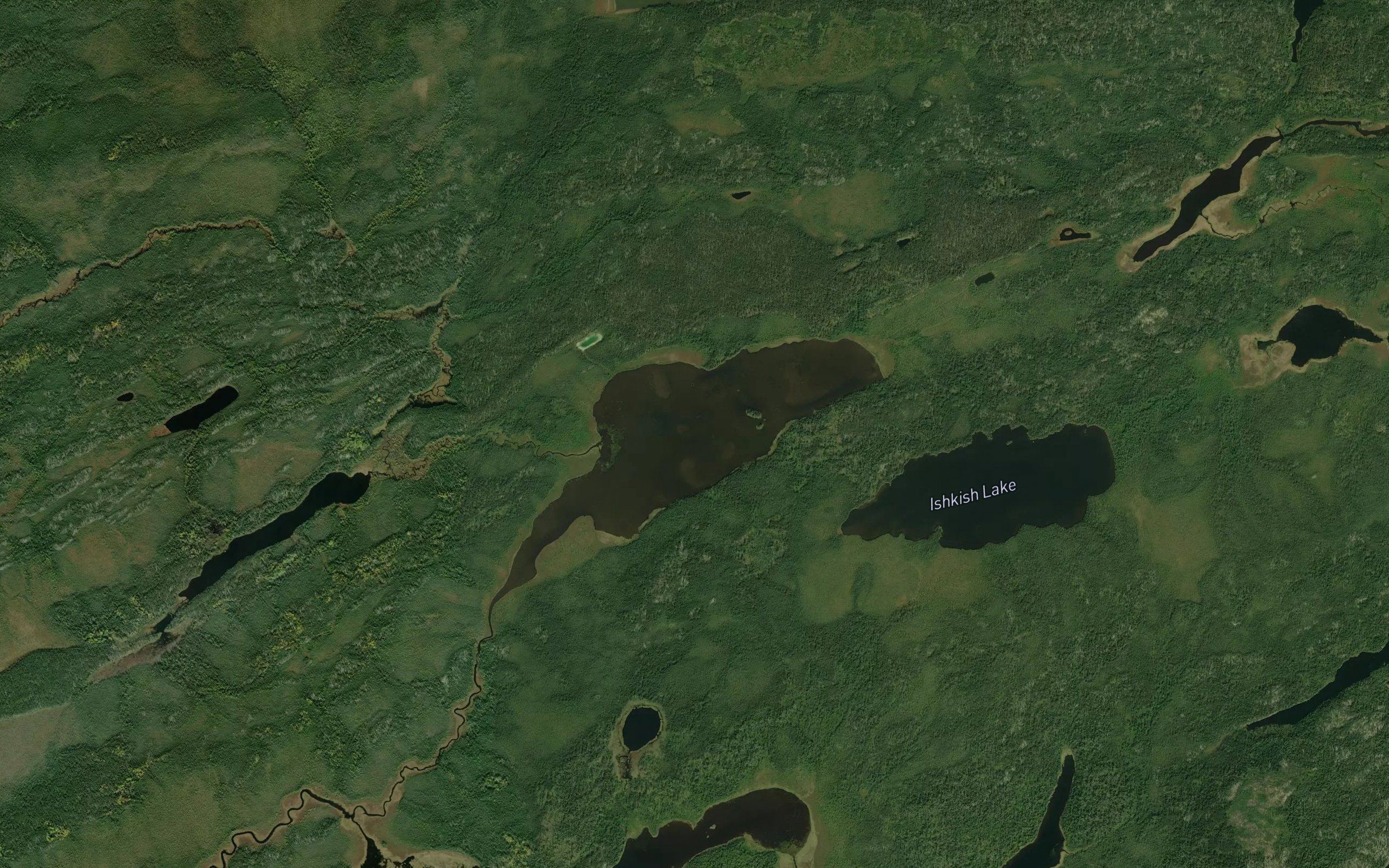 Frond Lake