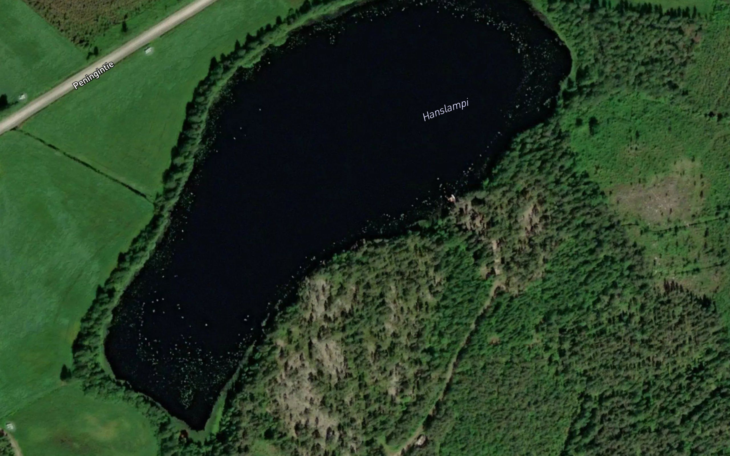 Hanslampi