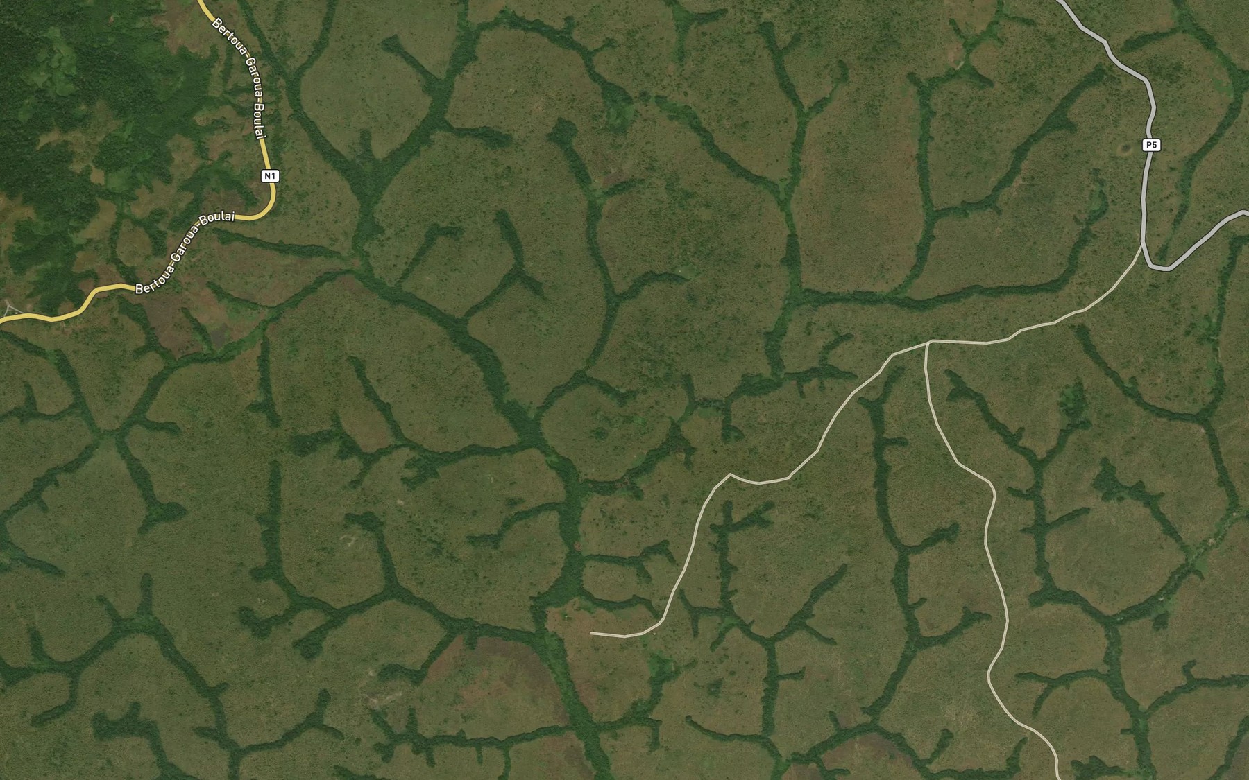 Satellite map of the Lisoum